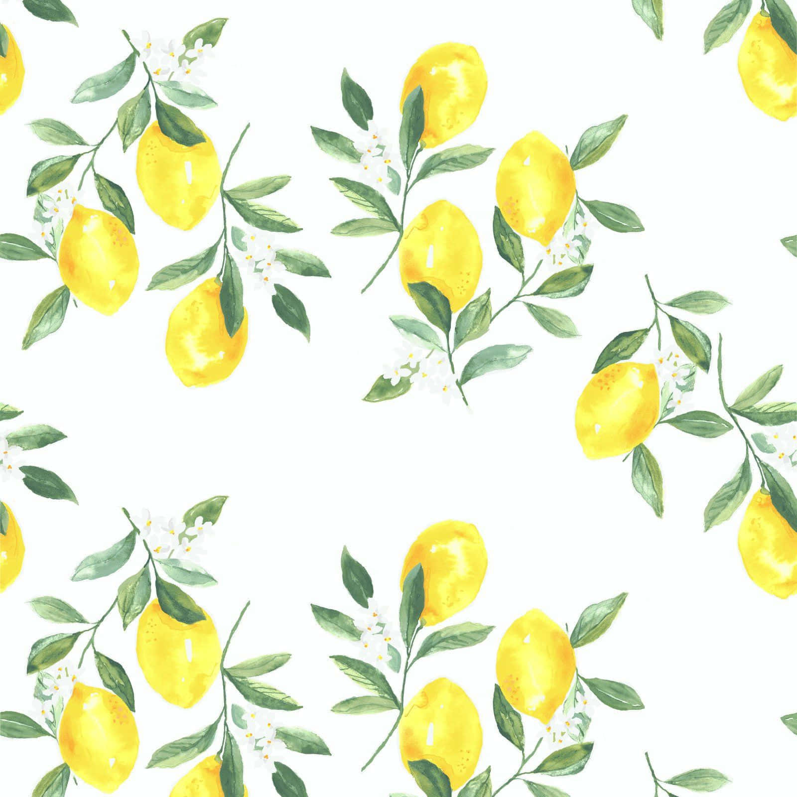Lemon iPhone, watercolor lemons, green leaves, HD Desktop Wallpaper