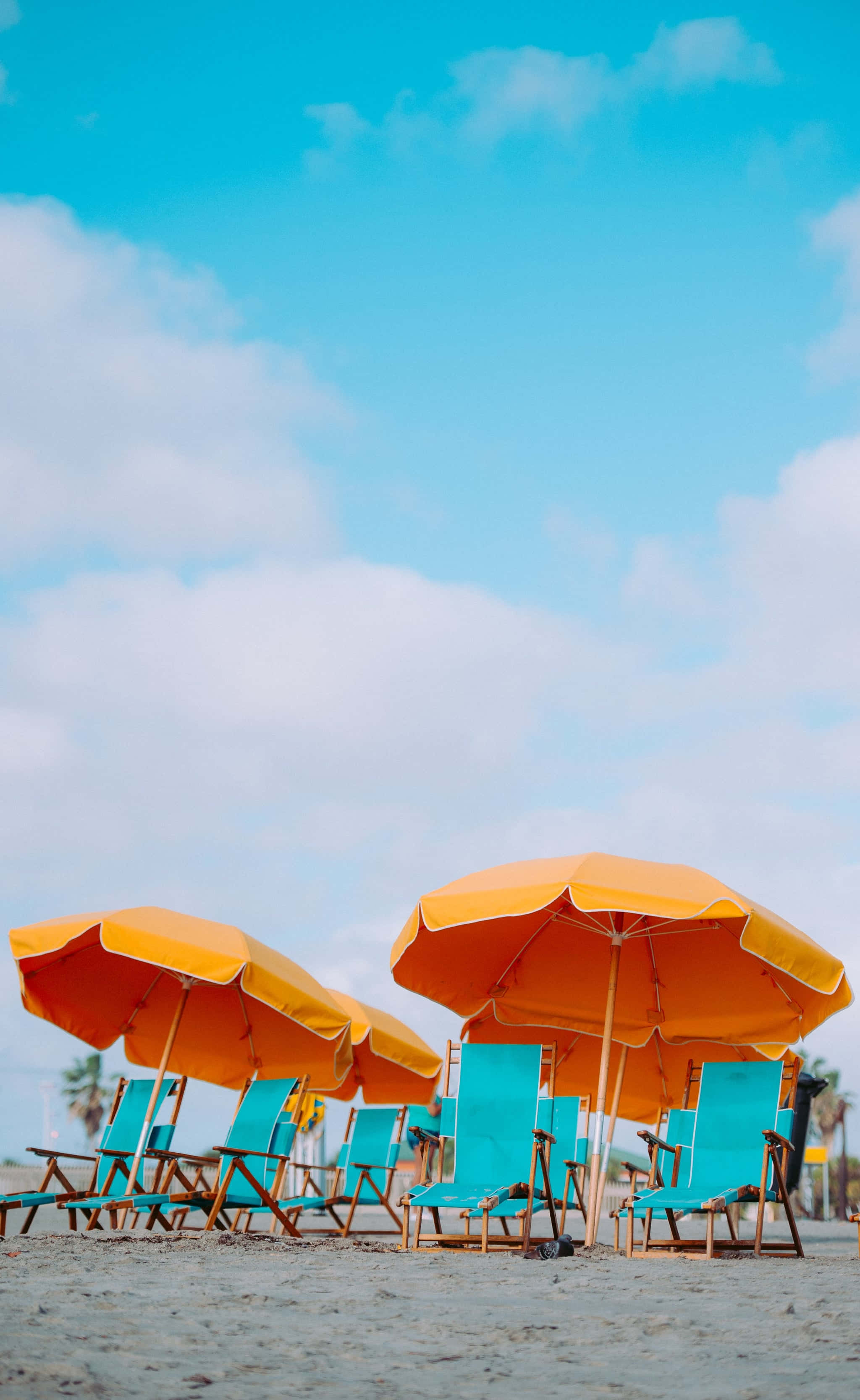 lemon iPhone, 2048 x 3334, vibrant orange, 2K Phone Wallpaper
