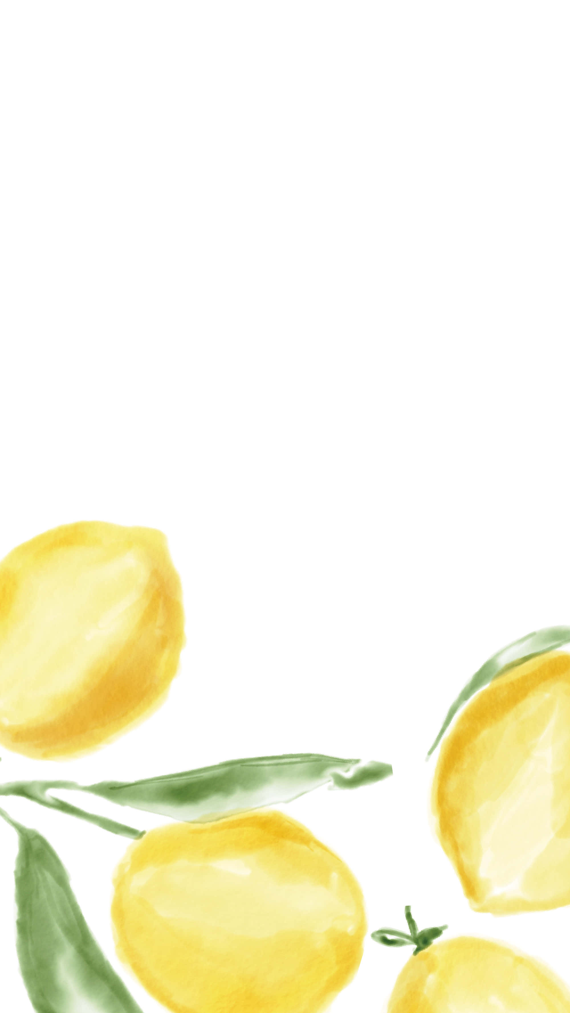 lemon, watercolor, white background, 2K Phone Wallpaper