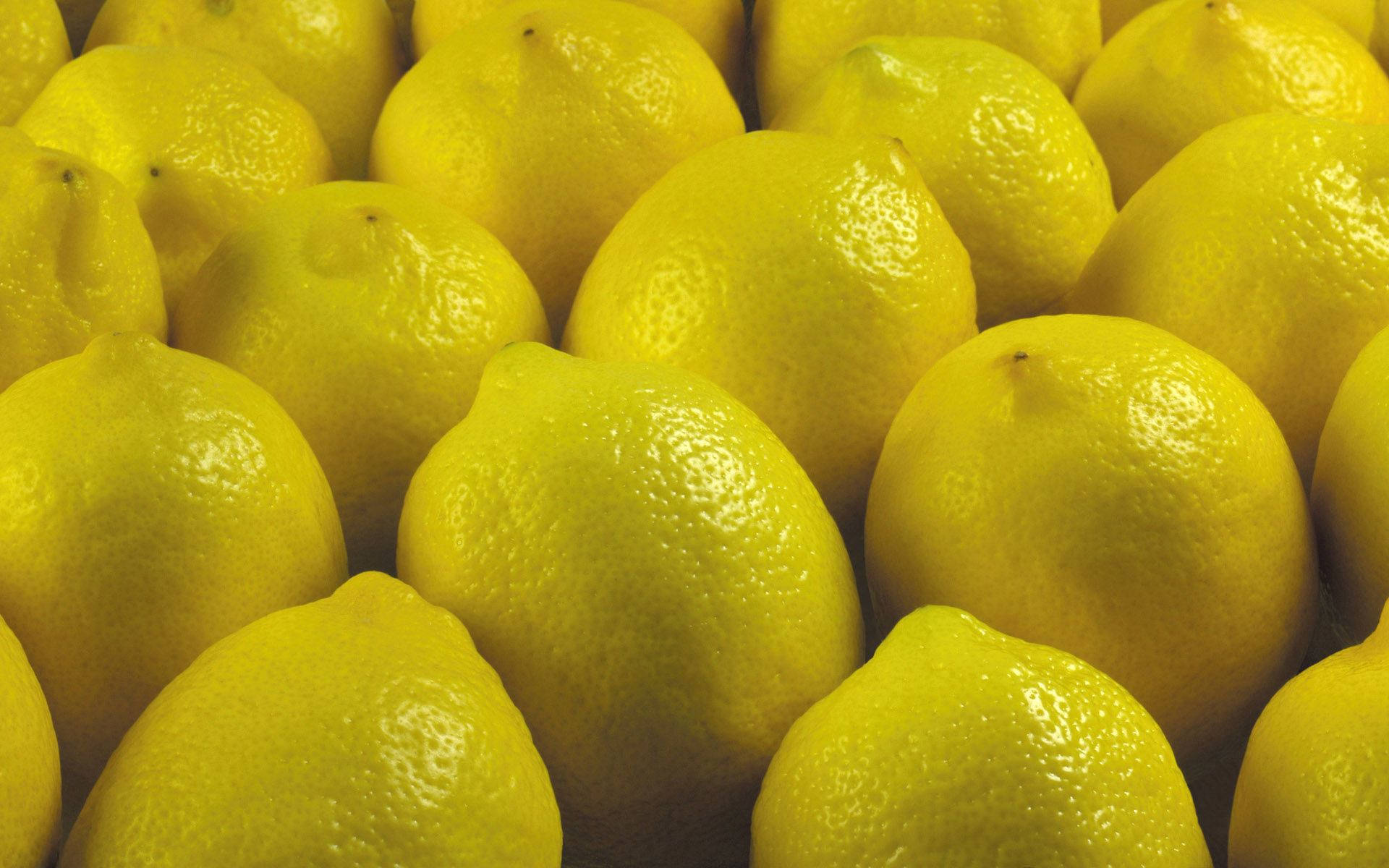 yellow citrus lemons, vibrant yellow lemons, textured rinds, Full HD Desktop Wallpaper