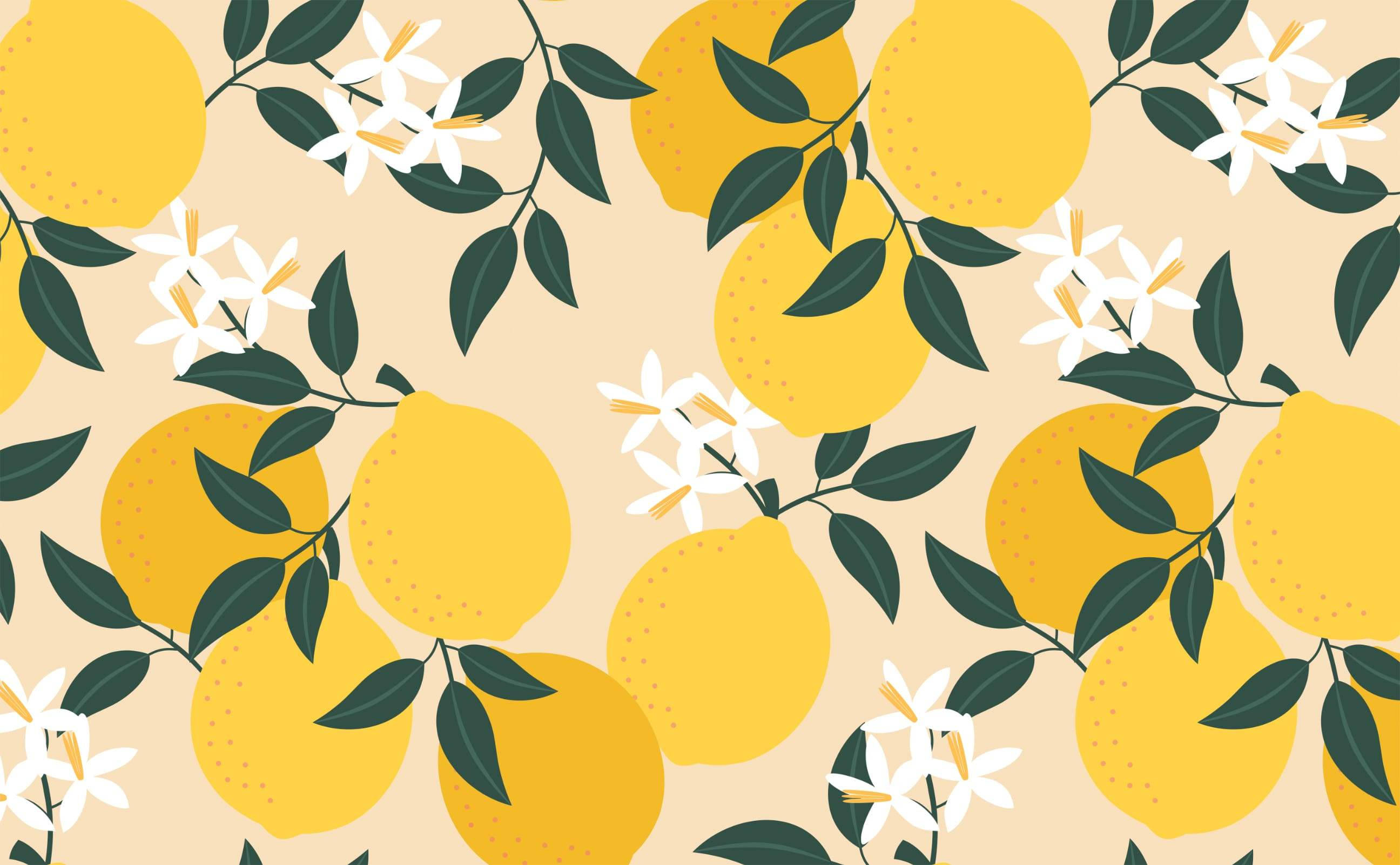 lemon, white flowers, vibrant yellow, 2K Desktop Wallpaper