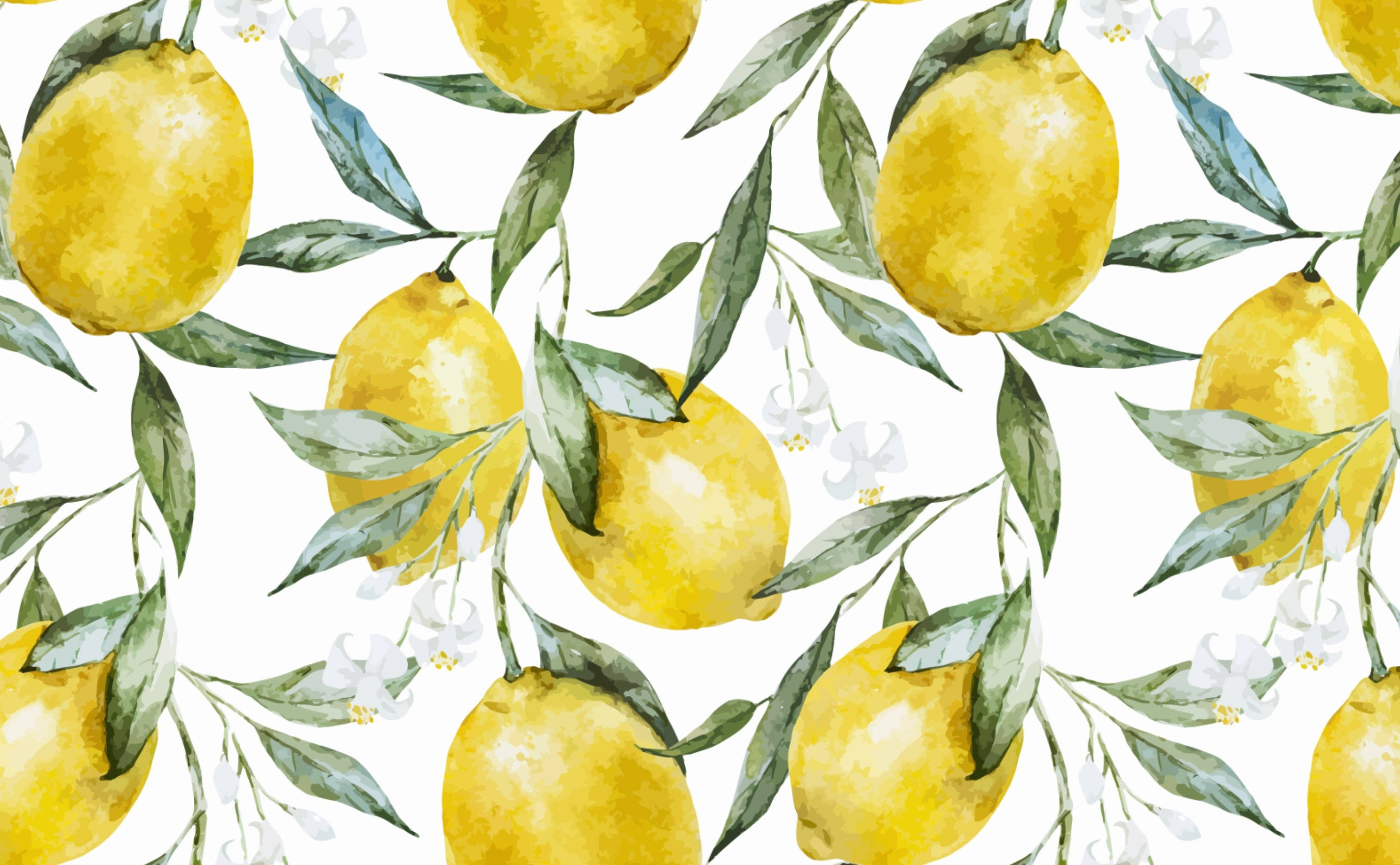 vintage lemon evergreen, watercolor lemons, green leaves, 2K Desktop Wallpaper