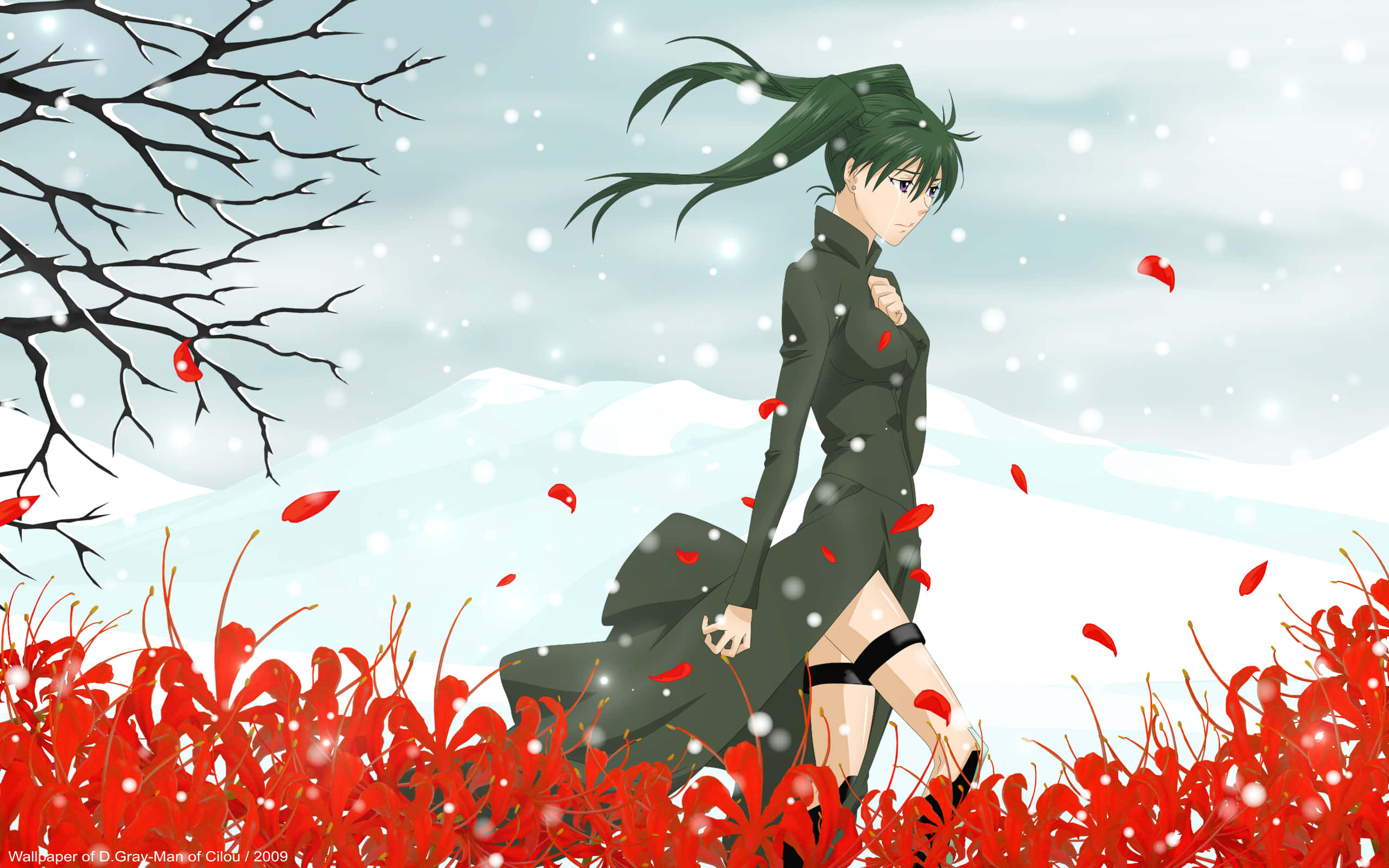 Lenalee Lee, D Gray Man, green hair, 2K Desktop Wallpaper