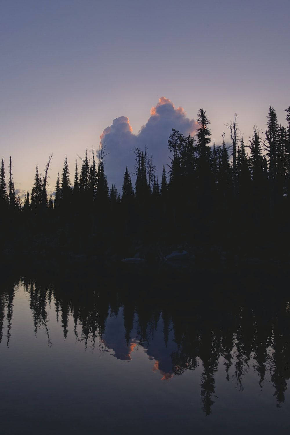 Lenovo Tablet, riverver, silhouetted pine trees, HD Phone Wallpaper