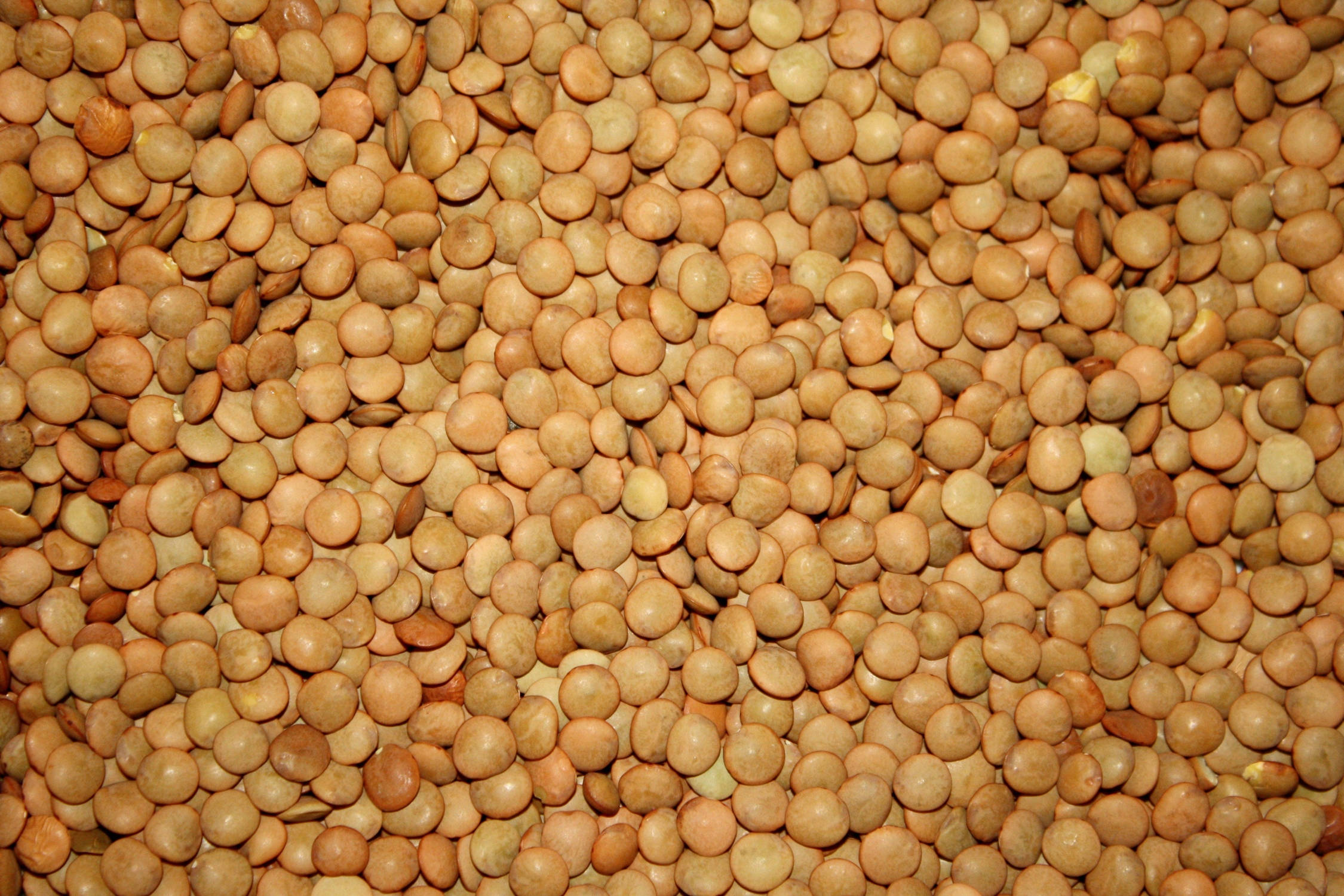 brown lentils, earth color, textured organic pattern, Full HD Desktop Wallpaper