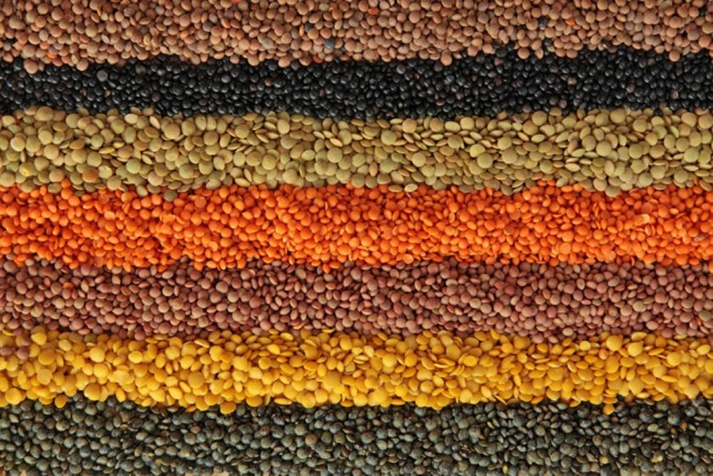 lentils, earth tones, horizontal stripes, SD Desktop Wallpaper