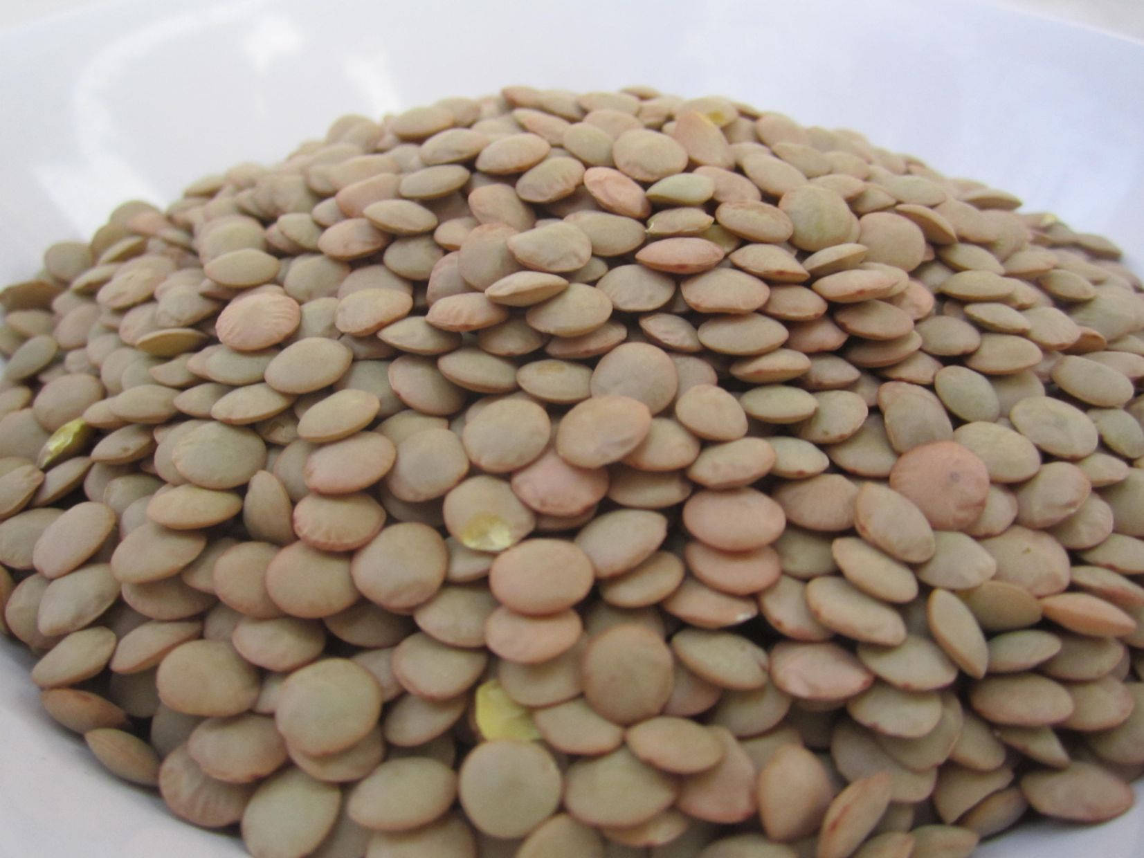 lentils, white ceramic bowl, dried brown lentils, HD Desktop Wallpaper