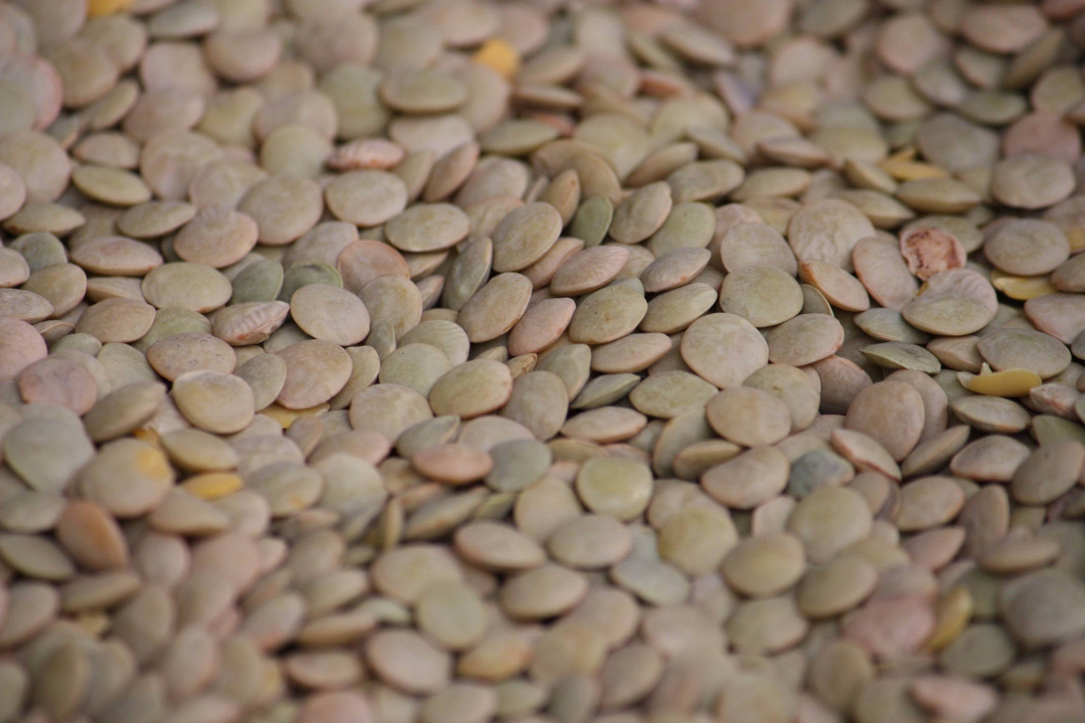 lentils, green lentils, brown lentils, Full HD Desktop Wallpaper