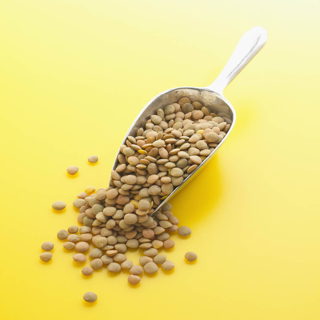 scoop of lentils aesthetic, earthy brown lentils, vibrant yellow background, SD Desktop Wallpaper
