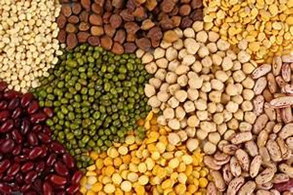 lentils, various colors, top-down view, SD Desktop Wallpaper