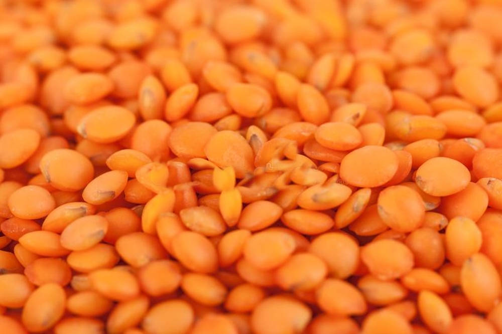 orange lentils, close-up photo, vibrant orange, SD Desktop Wallpaper