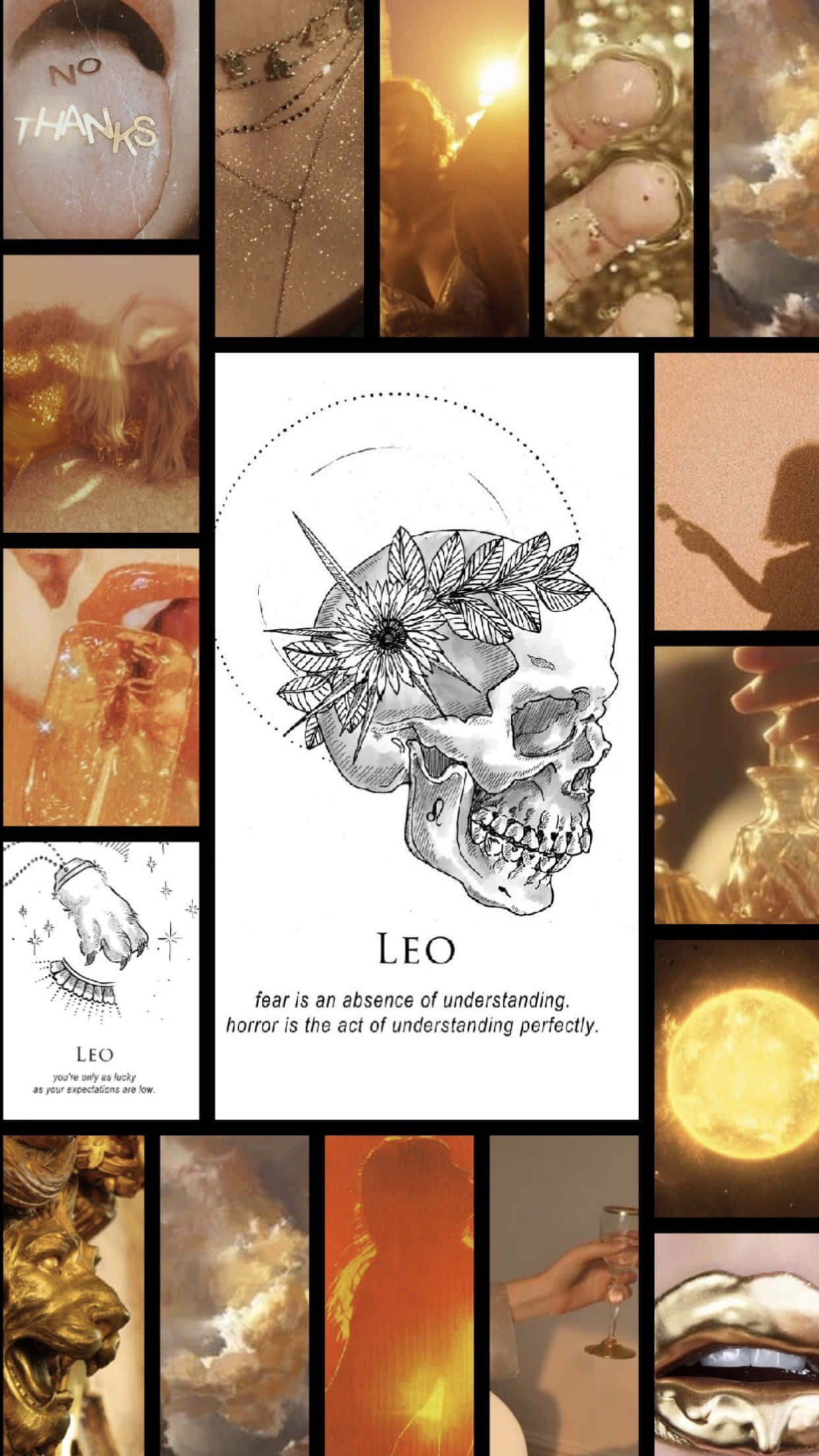 Leo, golden-hued, black and white skull, Full HD Phone Wallpaper