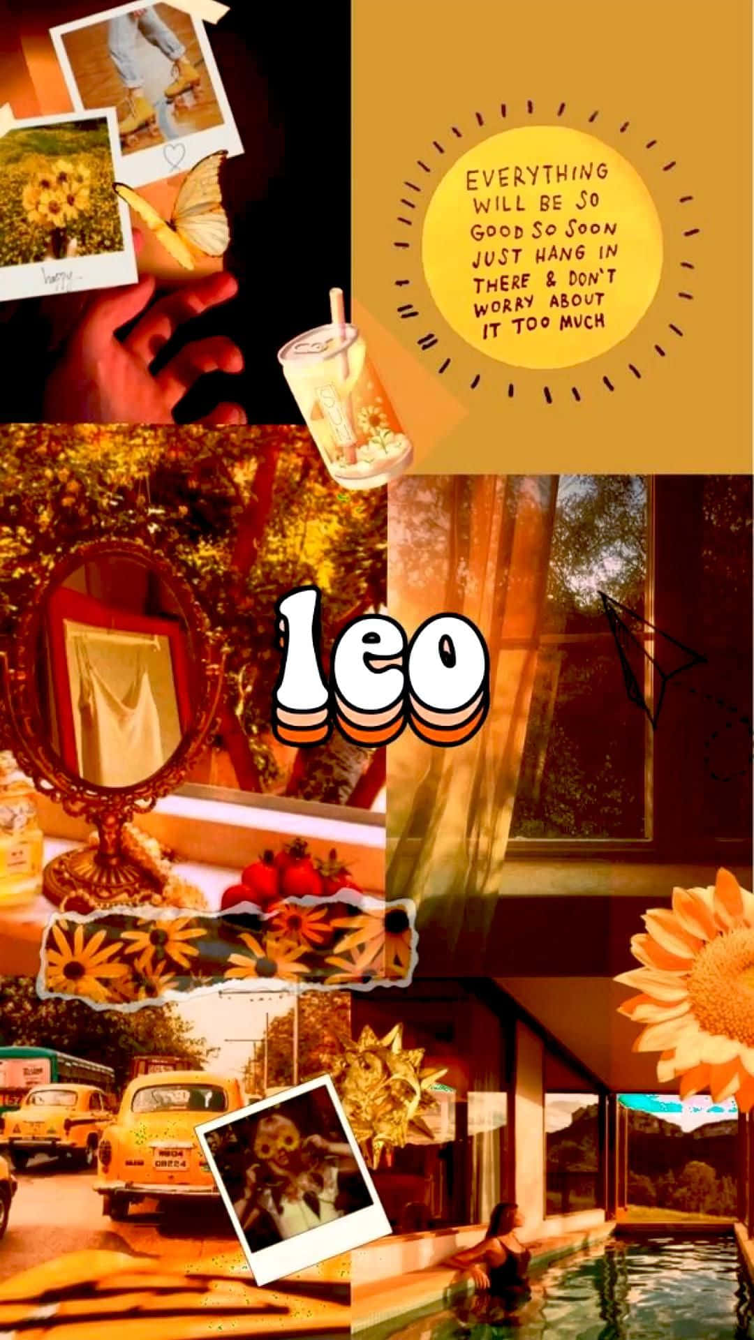Leo Aesthetic, sunflowers, polaroids, Full HD Phone Wallpaper