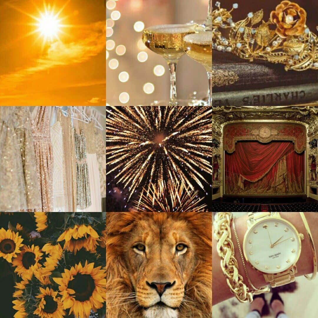 lion, sunflowers, clock, SD Desktop Wallpaper