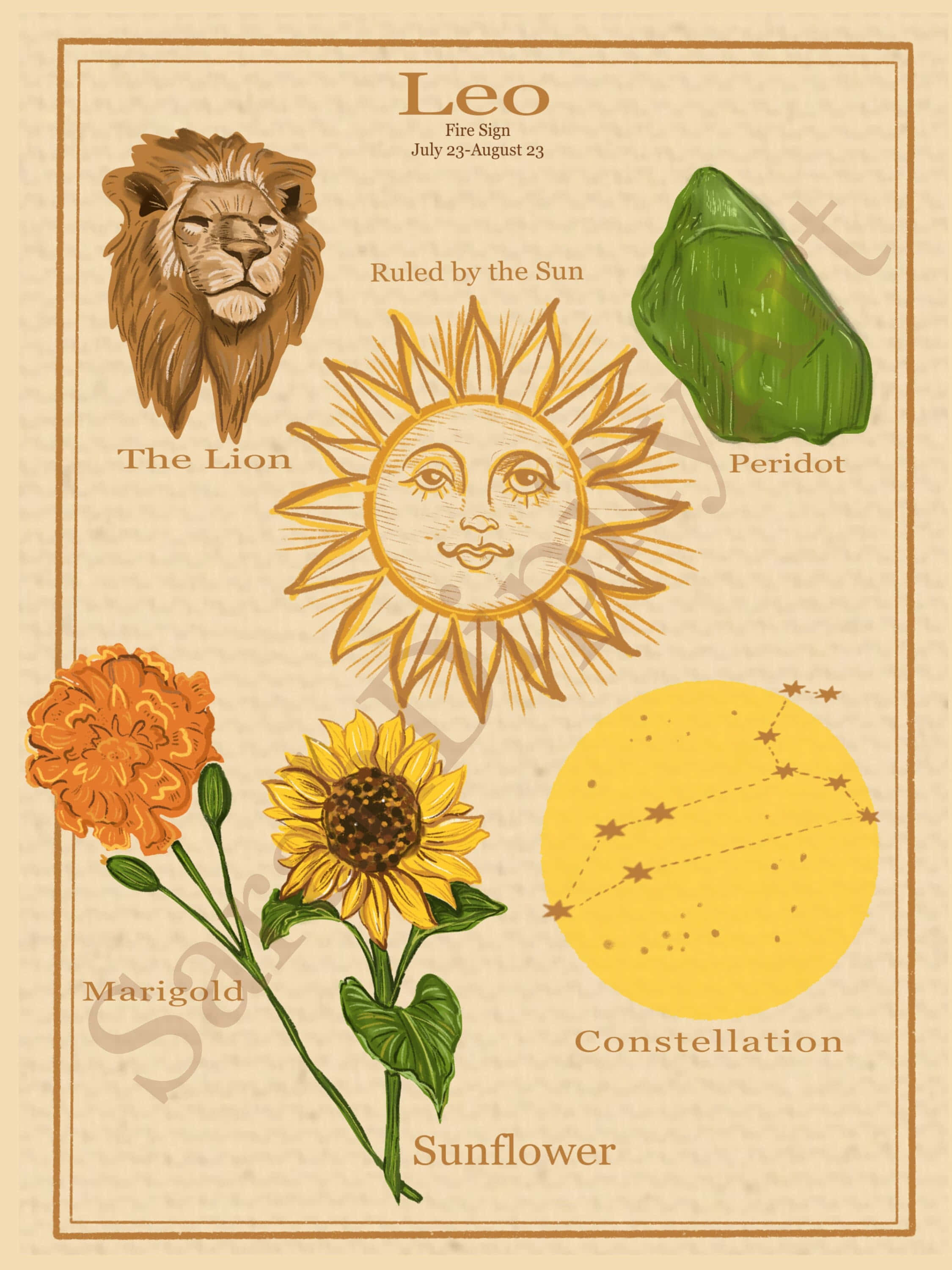 Leo, lion, sunflower, 2K Phone Wallpaper