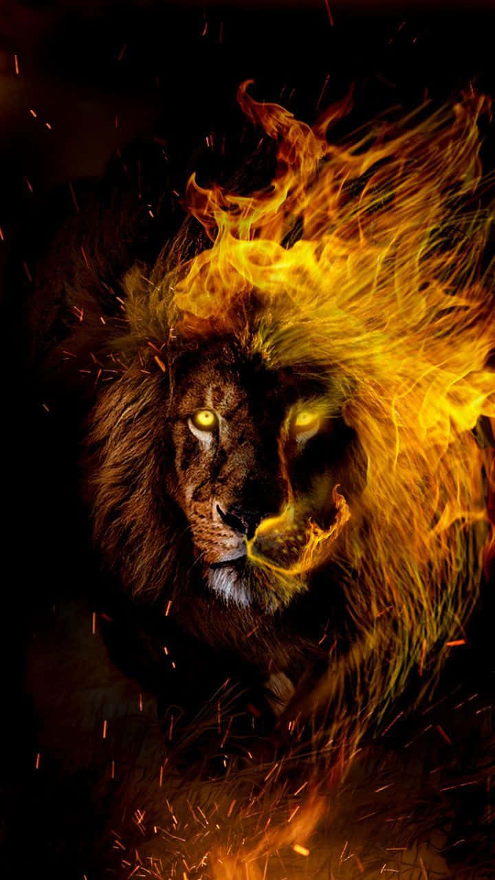 Leo Zodiac, lion, flames, HD Phone Wallpaper
