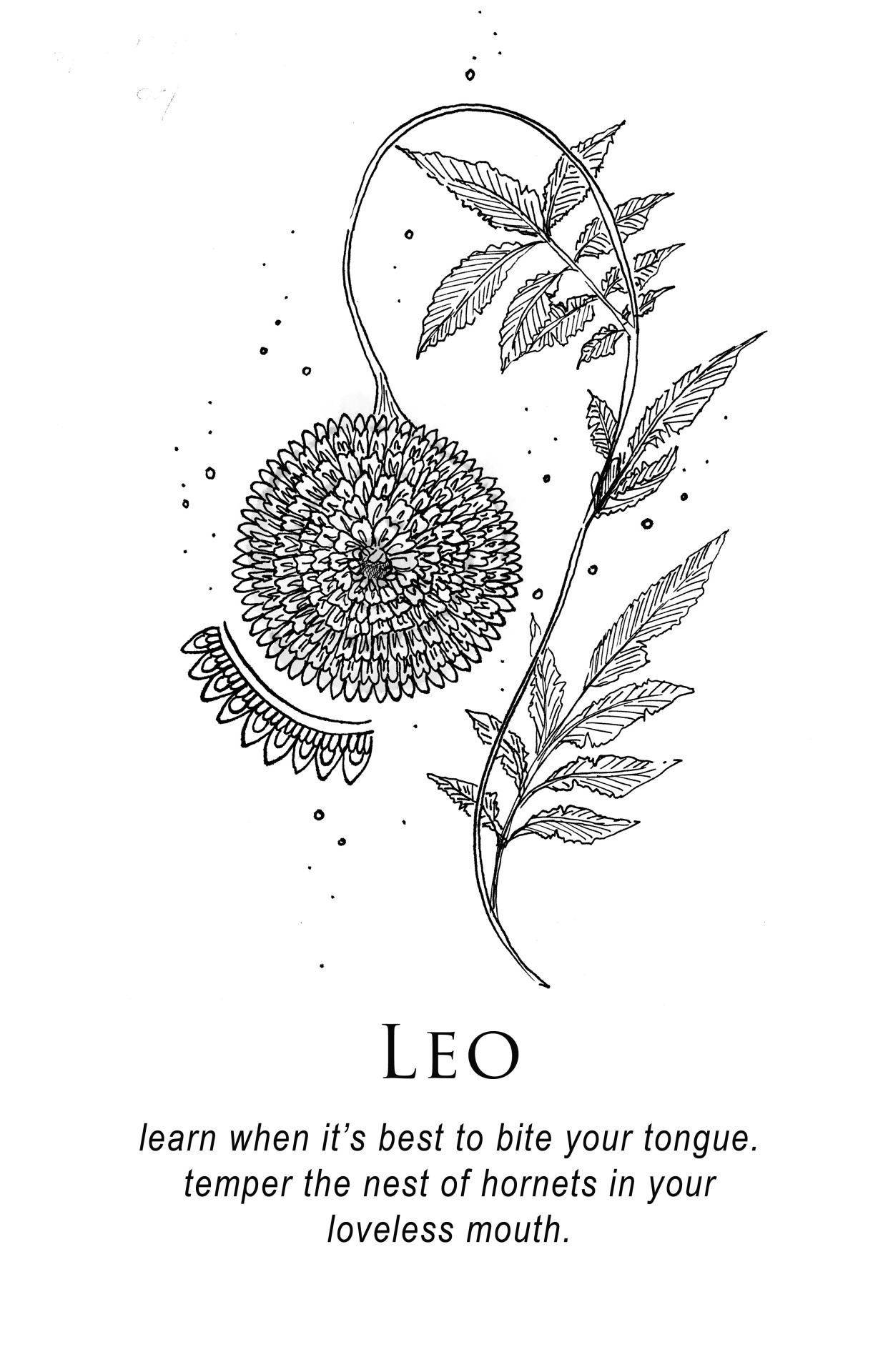 white minimalist leo, black and white line drawing, dandelion, Full HD Phone Wallpaper