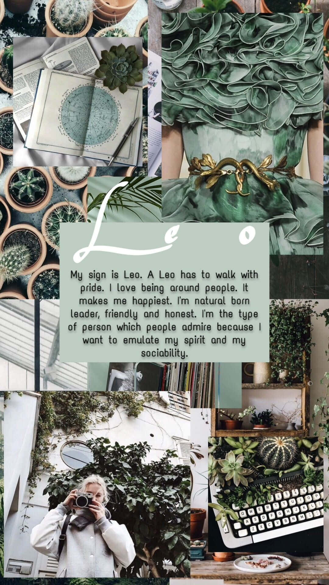 Leo aesthetic, boho aesthetic, greenery, Full HD Phone Wallpaper