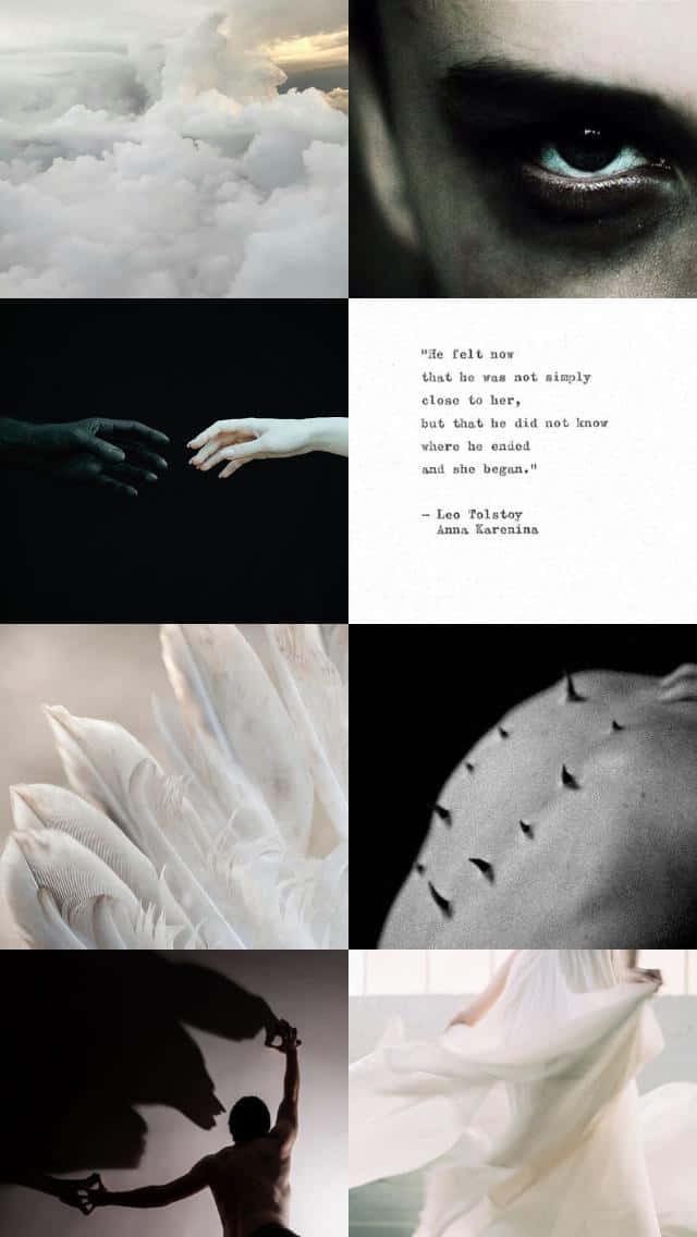 Leo, angel wings, flowing white fabric, SD Phone Wallpaper