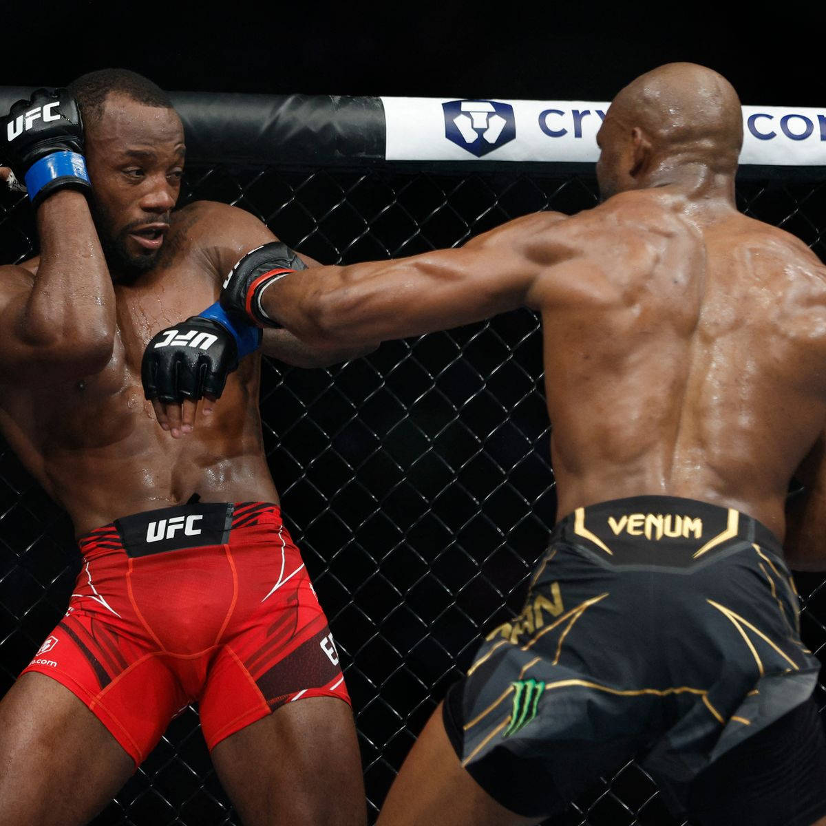 Leon Edwards, octagon, MMA fighters, SD Desktop Wallpaper
