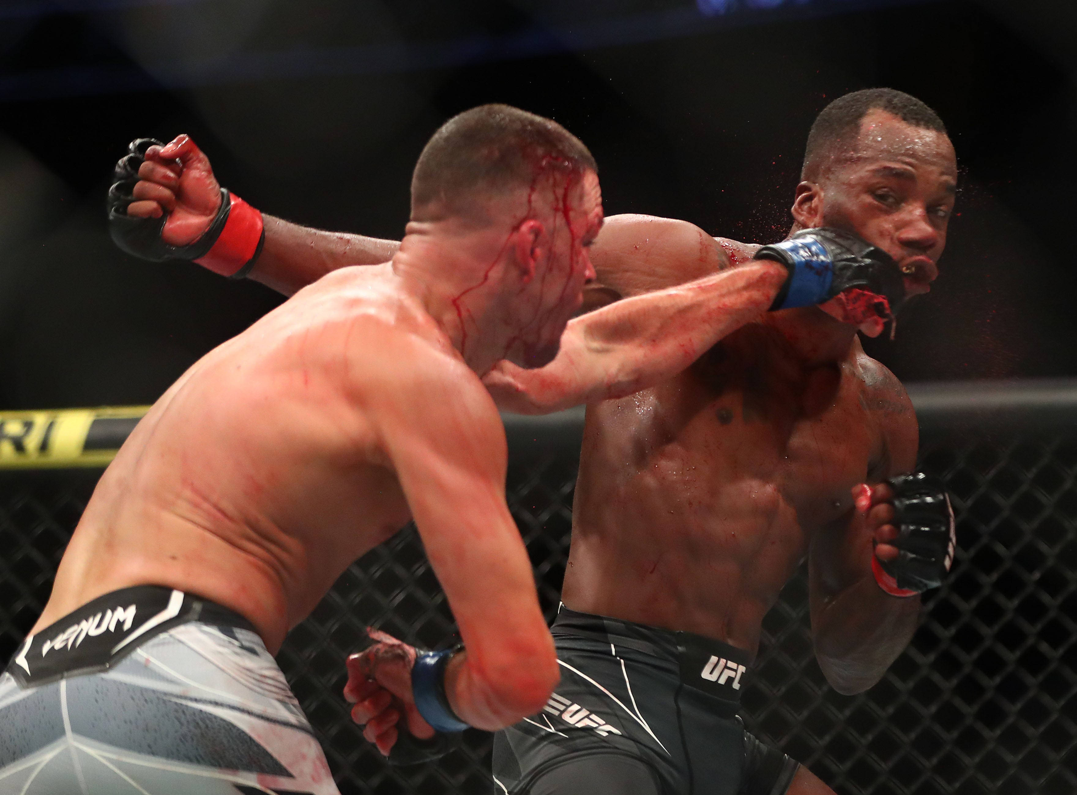 Leon Edwards, MMA fighters, cage match, 2K Desktop Wallpaper