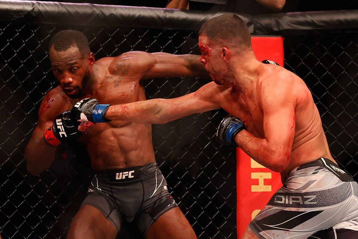 Leon Edwards, bloody match, MMA fighters, SD Desktop Wallpaper
