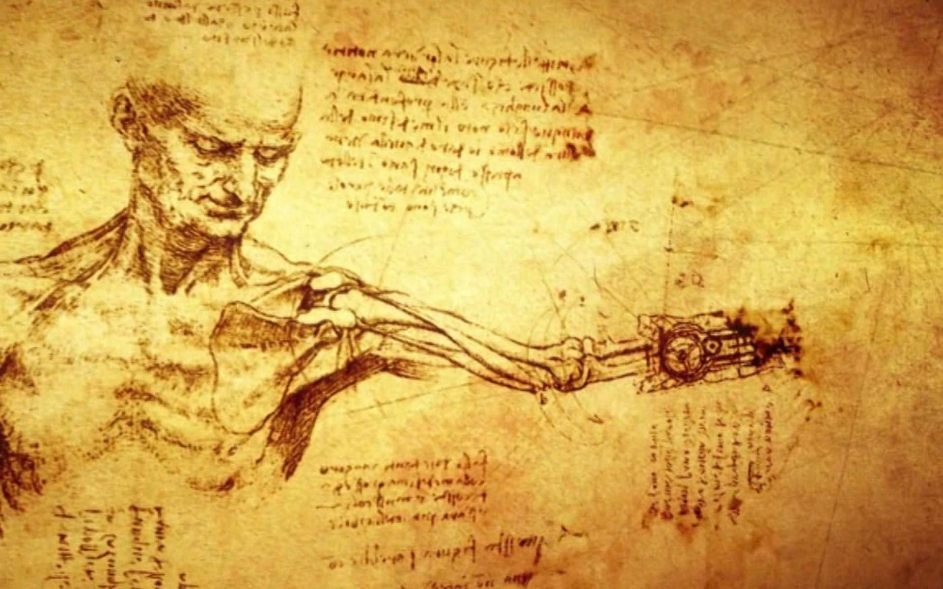 Leonardo Da Vinci, anatomical drawings, aged parchment, Full HD Desktop Wallpaper