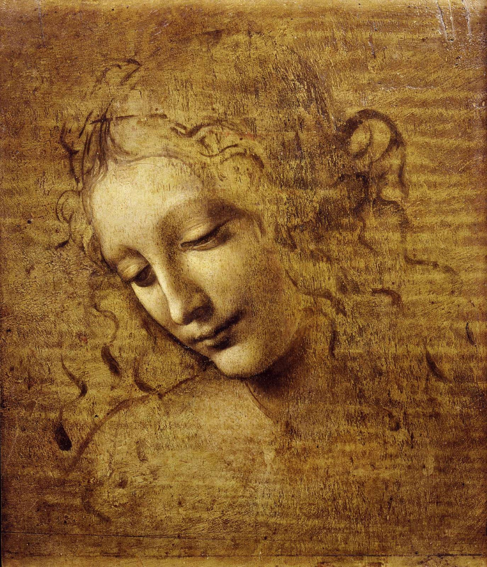 Leonardo Da Vinci, female head, classical sketch, Full HD Phone Wallpaper