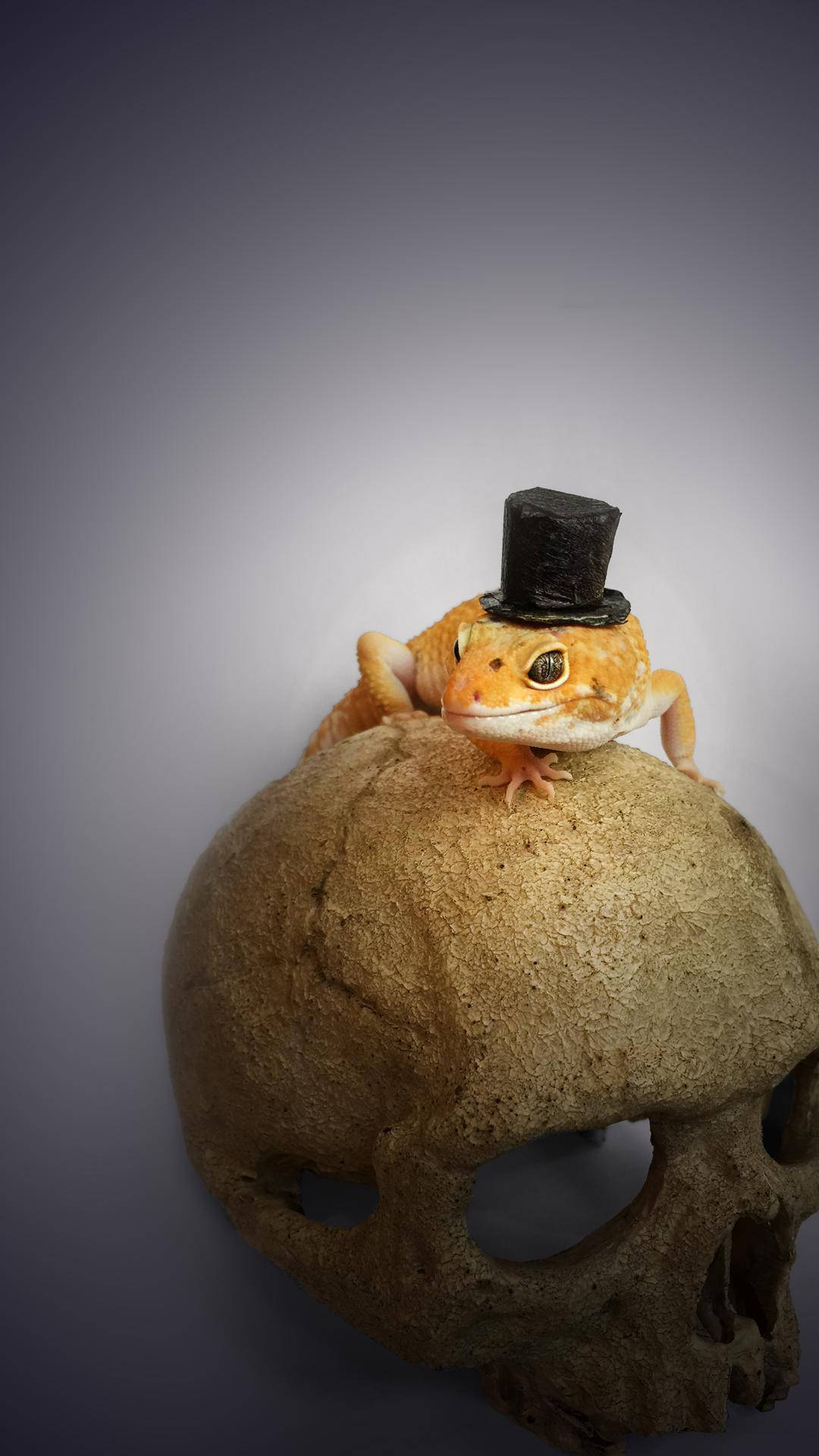 Leopard Gecko, orange gecko, tiny black top hat, Full HD Phone Wallpaper