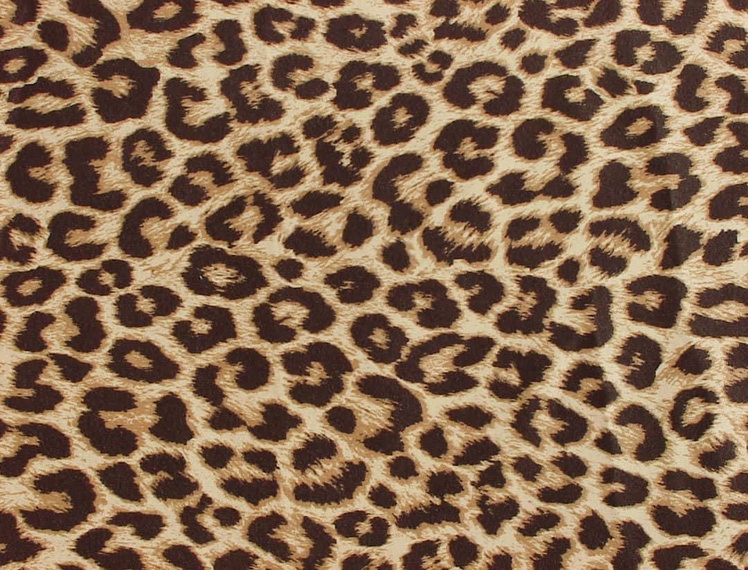 leopard print pattern, brown, tan, SD Desktop Wallpaper
