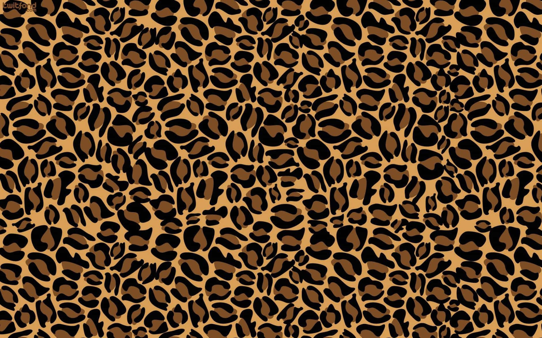 leopard pattern, black, brown, HD Desktop Wallpaper