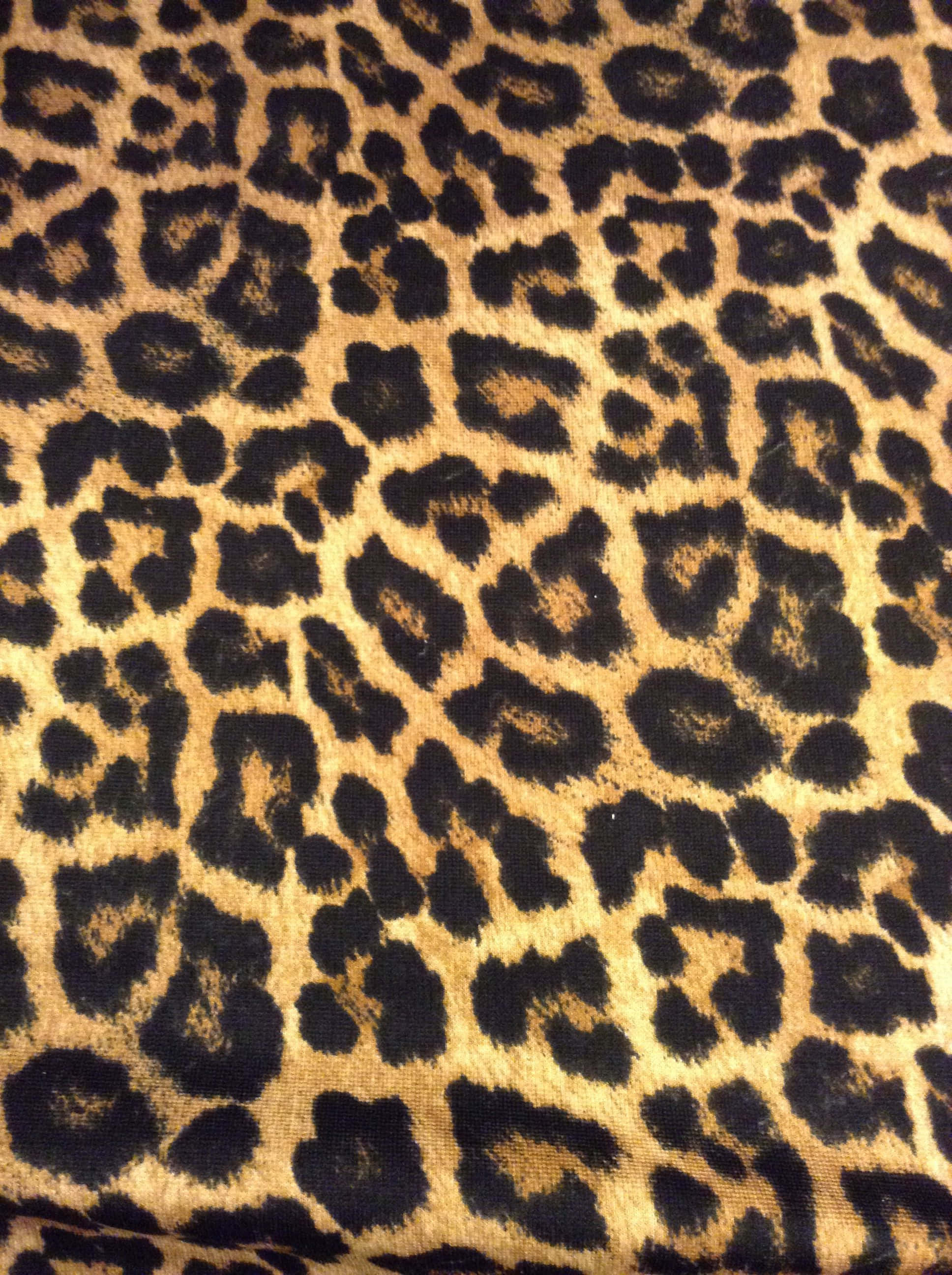 leopard pattern, black, tan, 2K Phone Wallpaper