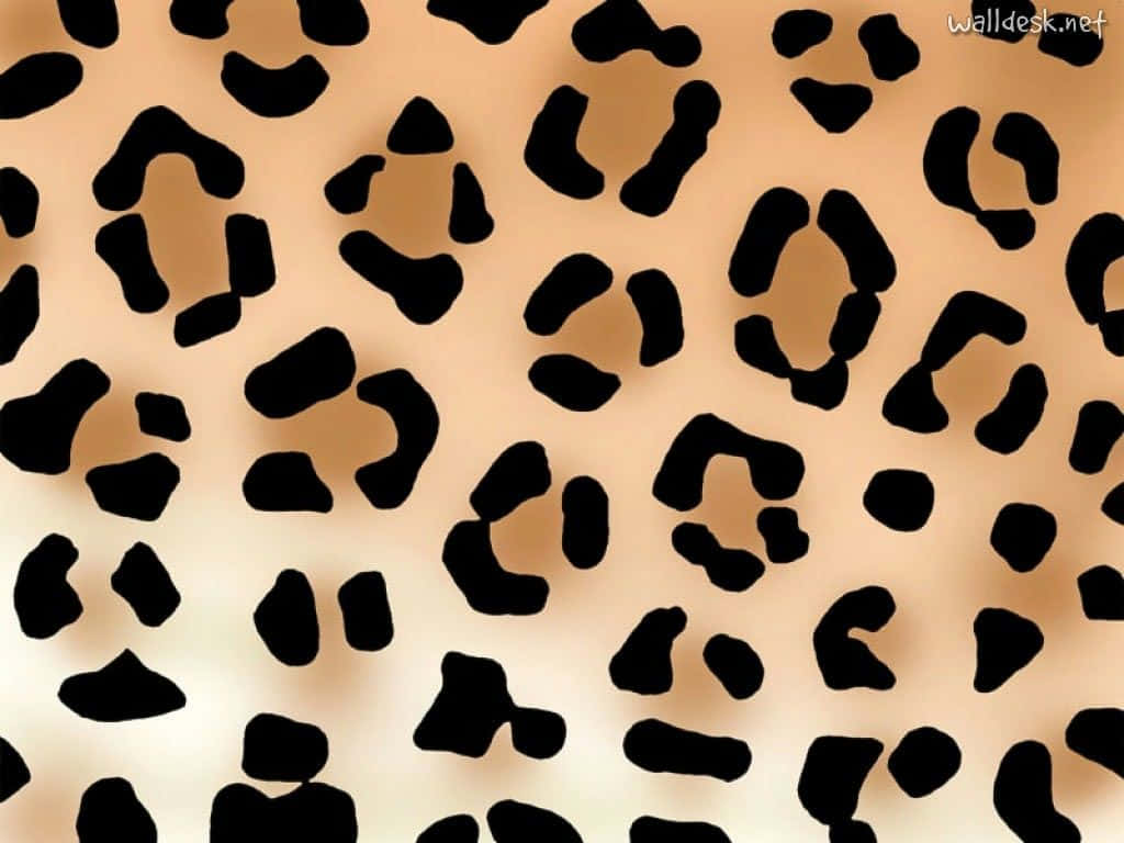 leopard pattern, tan and black, leopard print pattern, SD Desktop Wallpaper