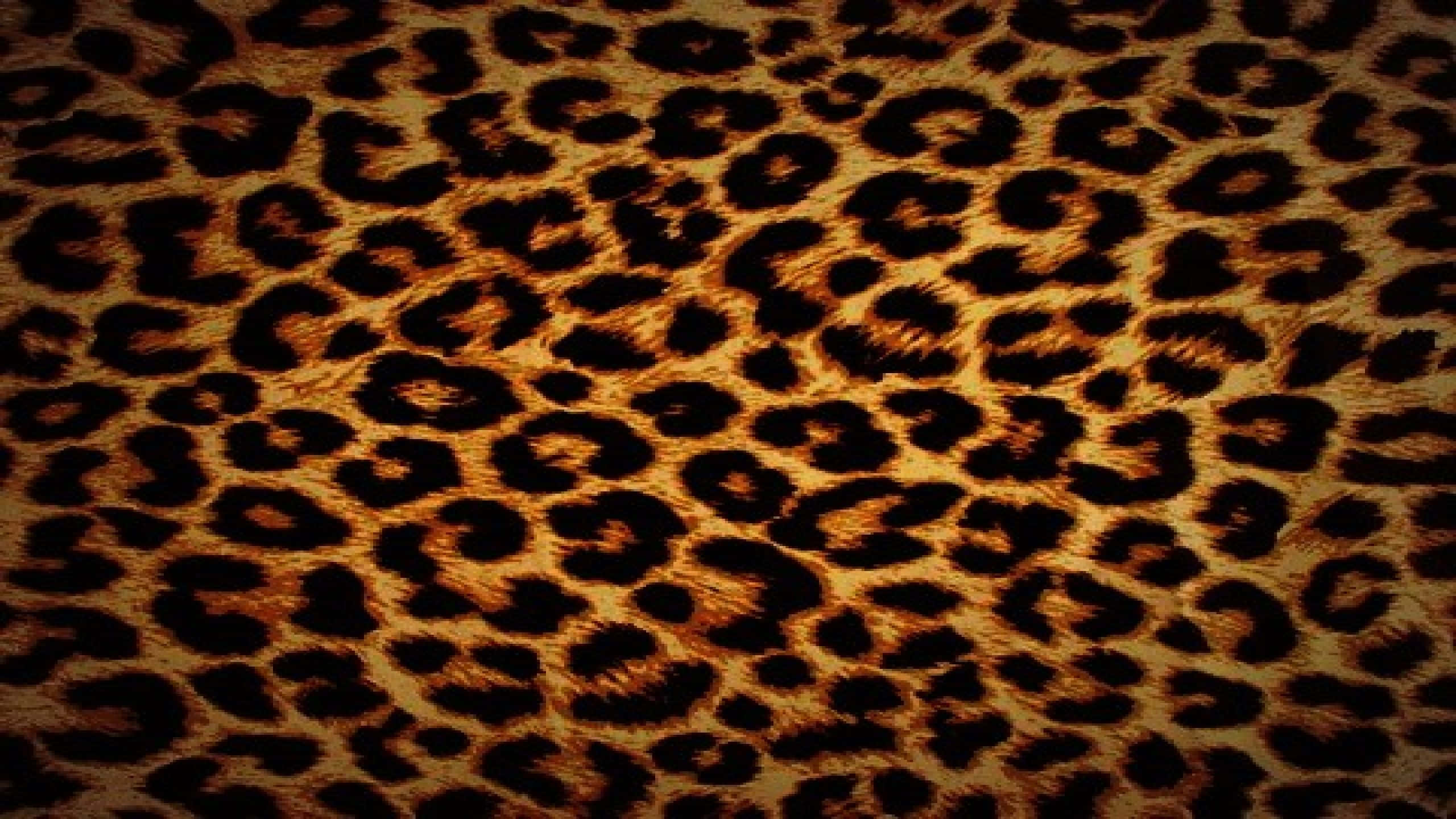 leopard pattern, rosette patterns, amber, 2K Desktop Wallpaper