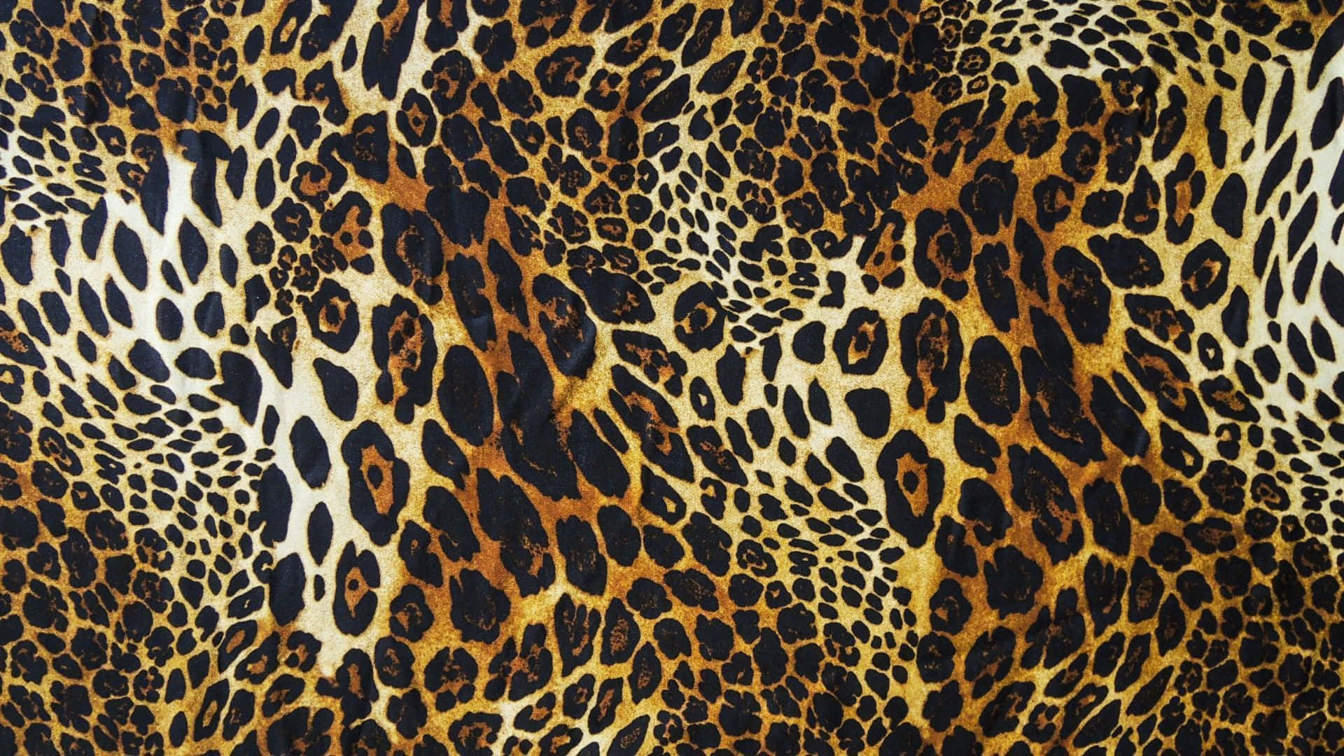 leopard print, black spots, golden tan, Full HD Desktop Wallpaper