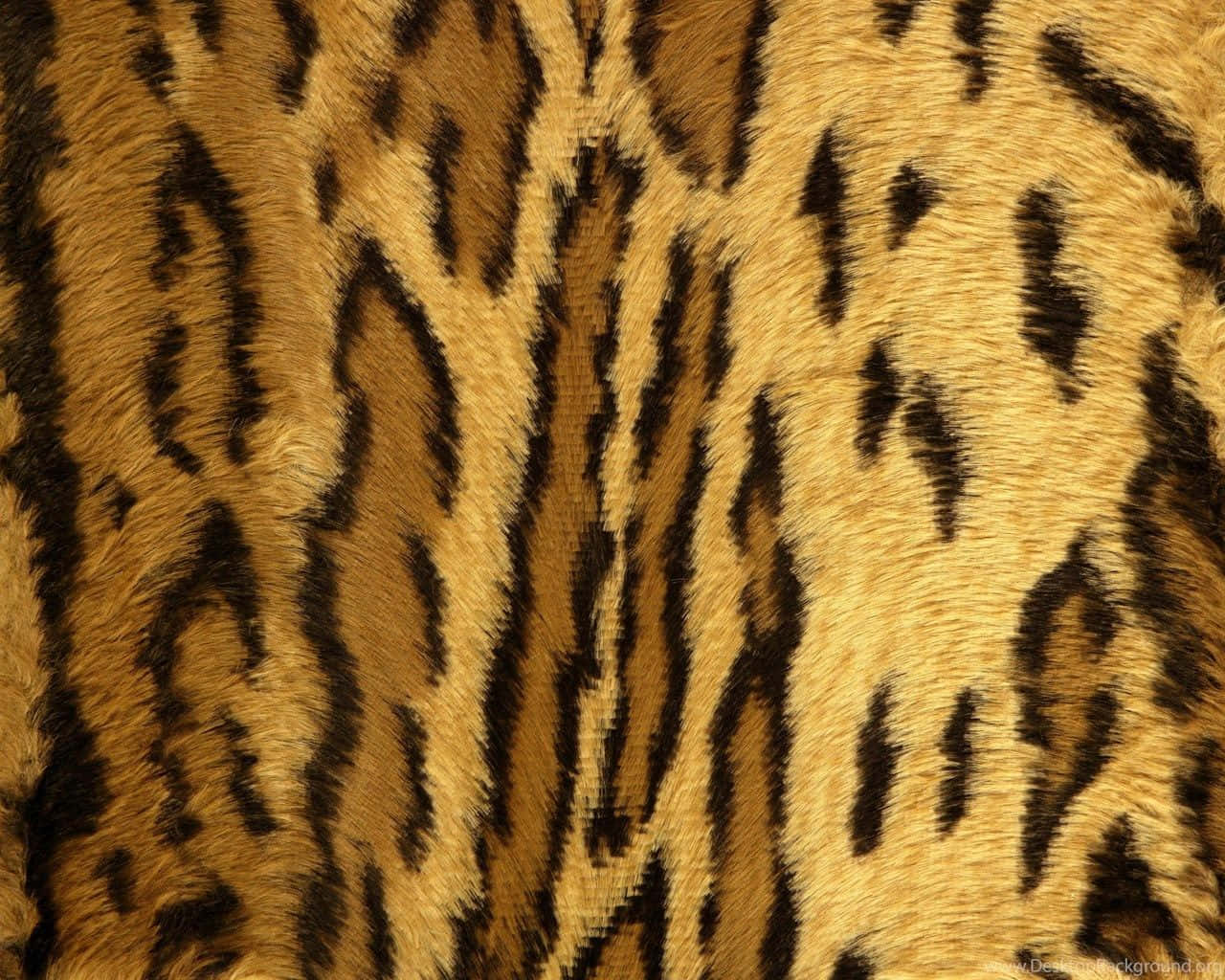 leopard pattern, plush leopard print fabric, golden tan, HD Desktop Wallpaper