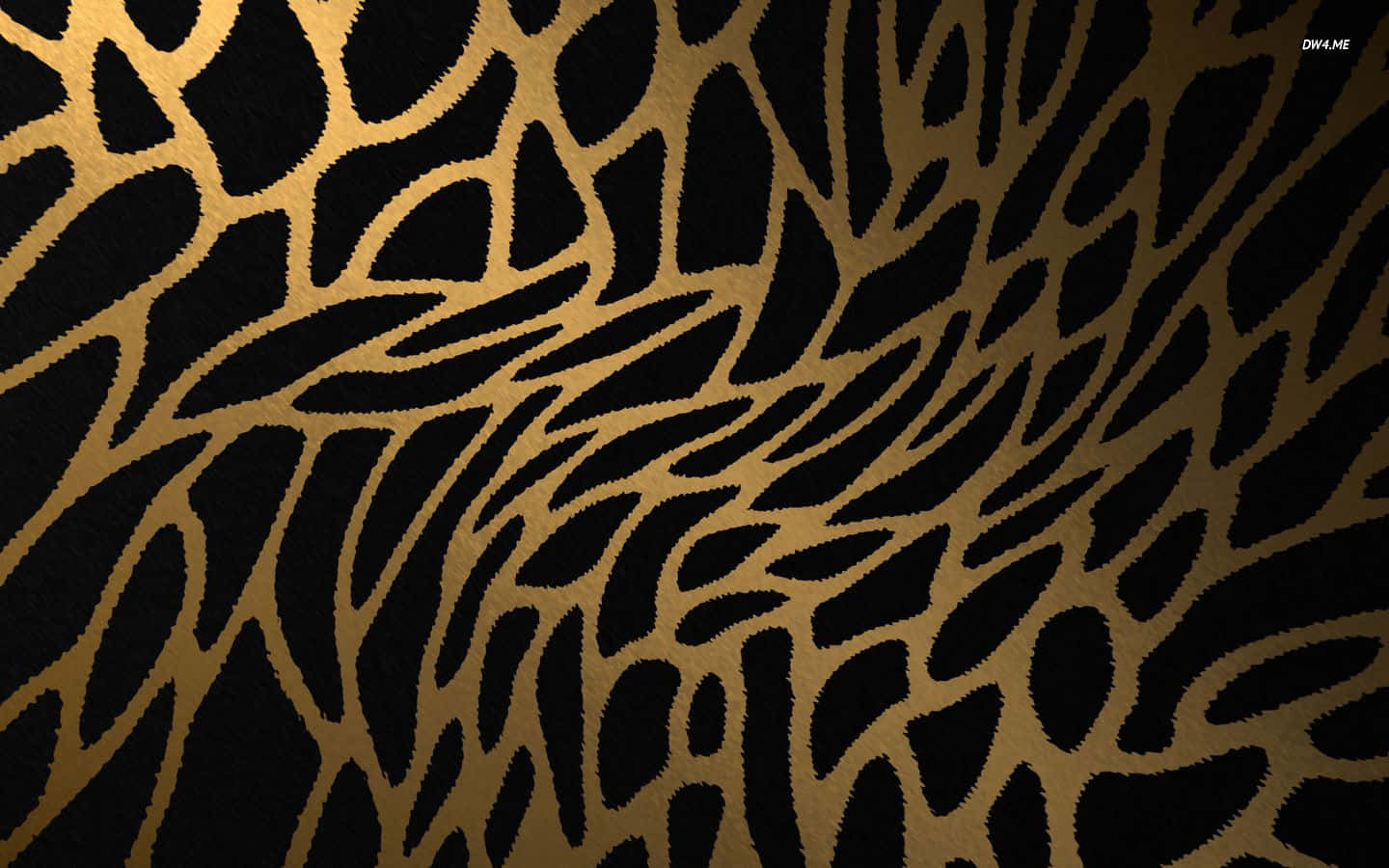 leopard pattern, black and gold pattern, deep black background, HD Desktop Wallpaper