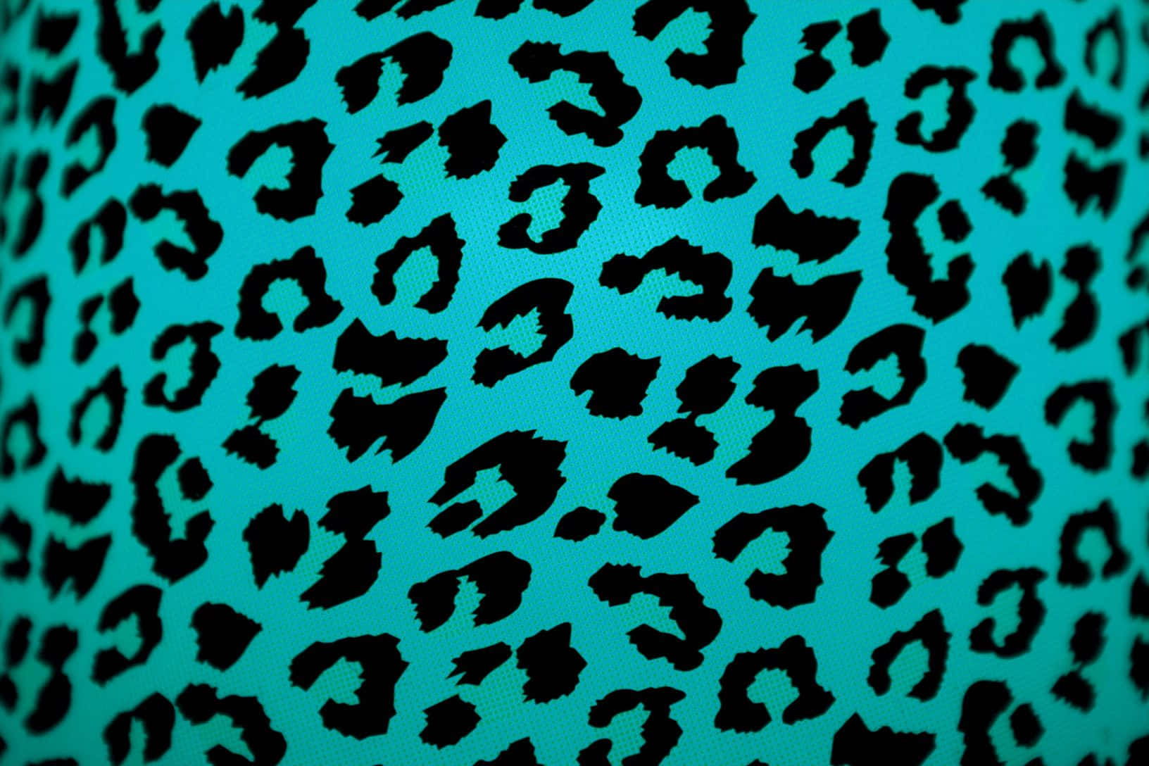 leopard pattern, black leopard spots, vibrant teal fabric, HD Desktop Wallpaper