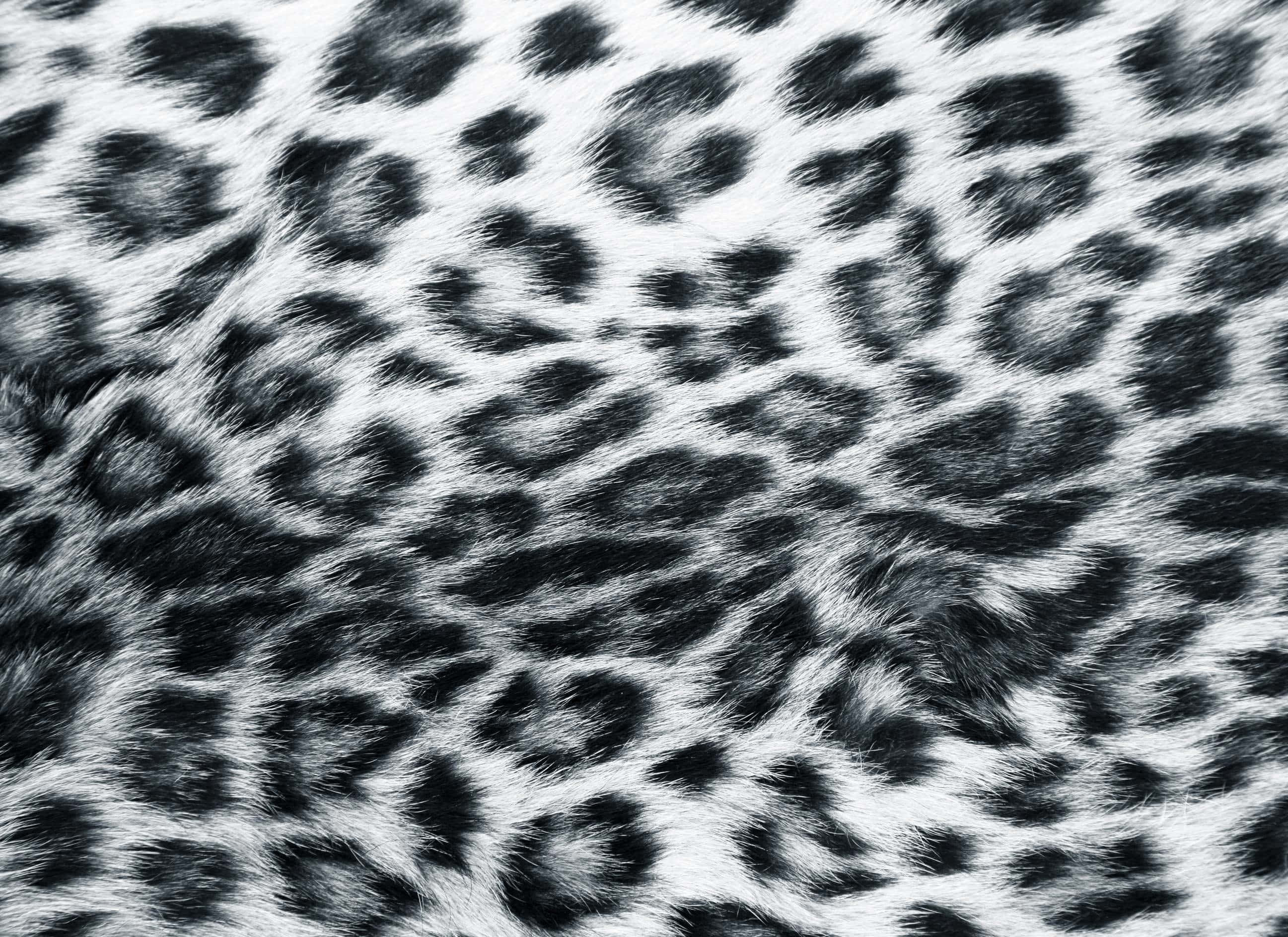 white leopard print, black and white faux fur, bold leopard spot pattern, 2K Desktop Wallpaper