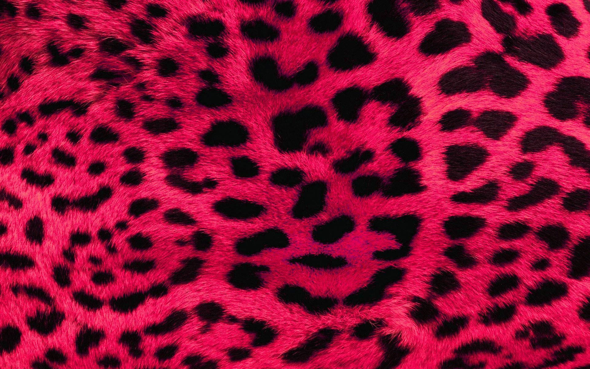 black and pink aesthetic rosette patterns, vibrant pink faux fur, bold black leopard spots, Full HD Desktop Wallpaper