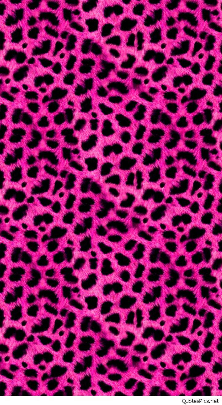 leopard print, pink, black spots, HD Phone Wallpaper