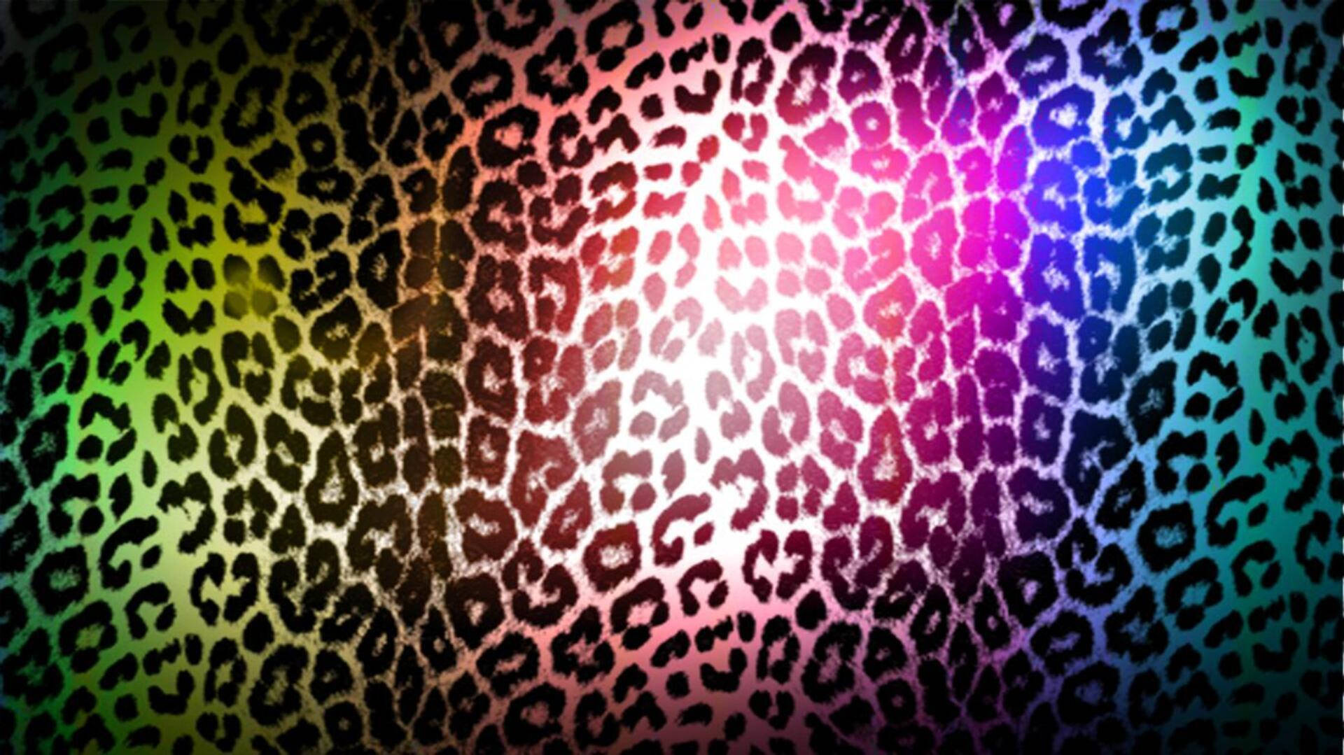 vibrant leopard print, rainbow gradient, bold leopard print pattern, Full HD Desktop Wallpaper