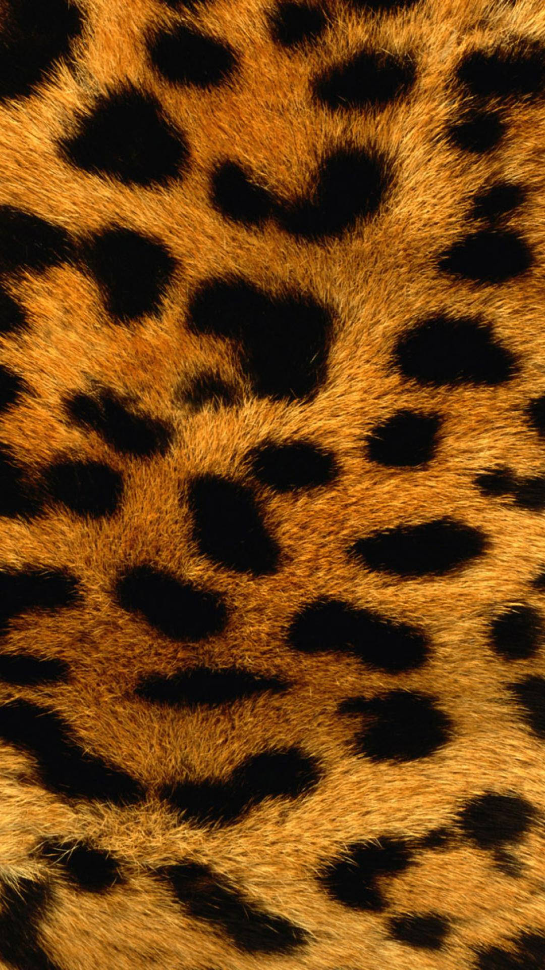 furry leopard print, golden fur, black rosettes, Full HD Phone Wallpaper