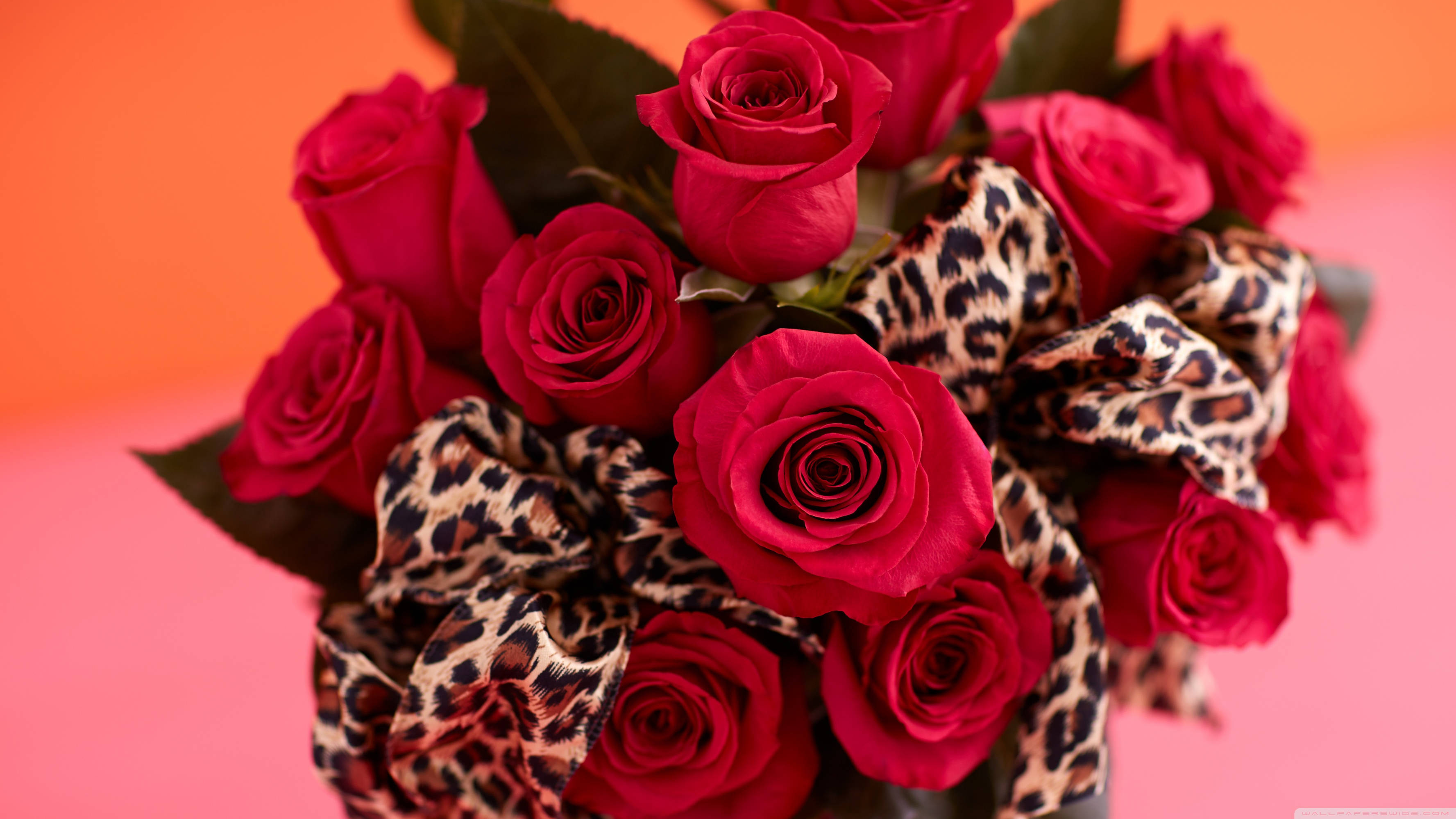 flower leopard print, vibrant red roses, bold leopard-print bow, 2K Desktop Wallpaper