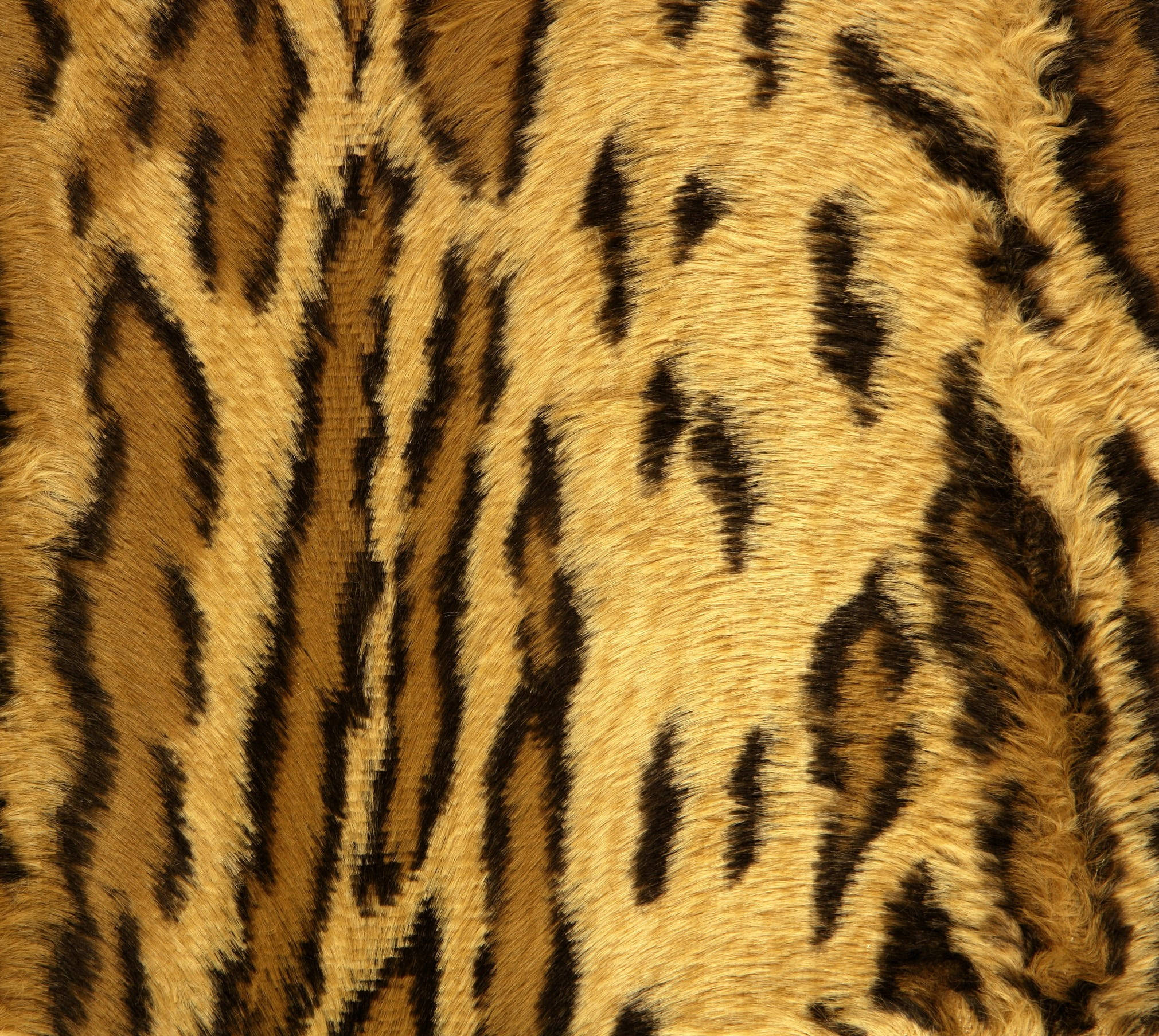 leopard print, golden-brown, black rosettes, Full HD Desktop Wallpaper