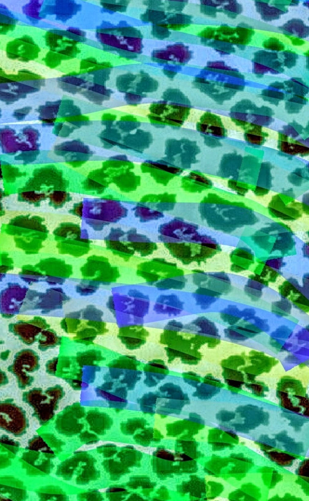 leopard print, green, blue, HD Phone Wallpaper