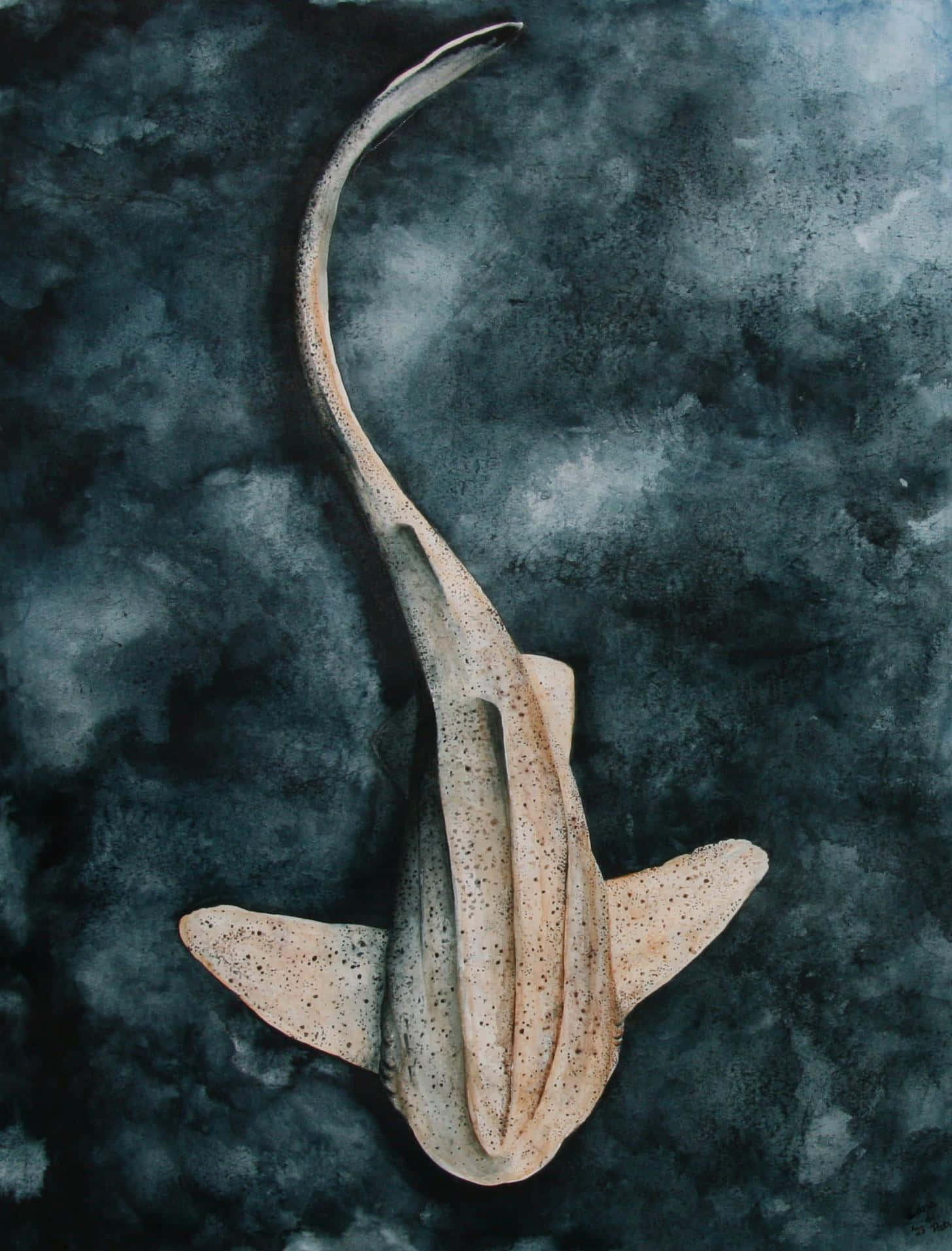 Leopard Shark, spotted guitarfish, dark teal and gray watercolor background, HD Phone Wallpaper