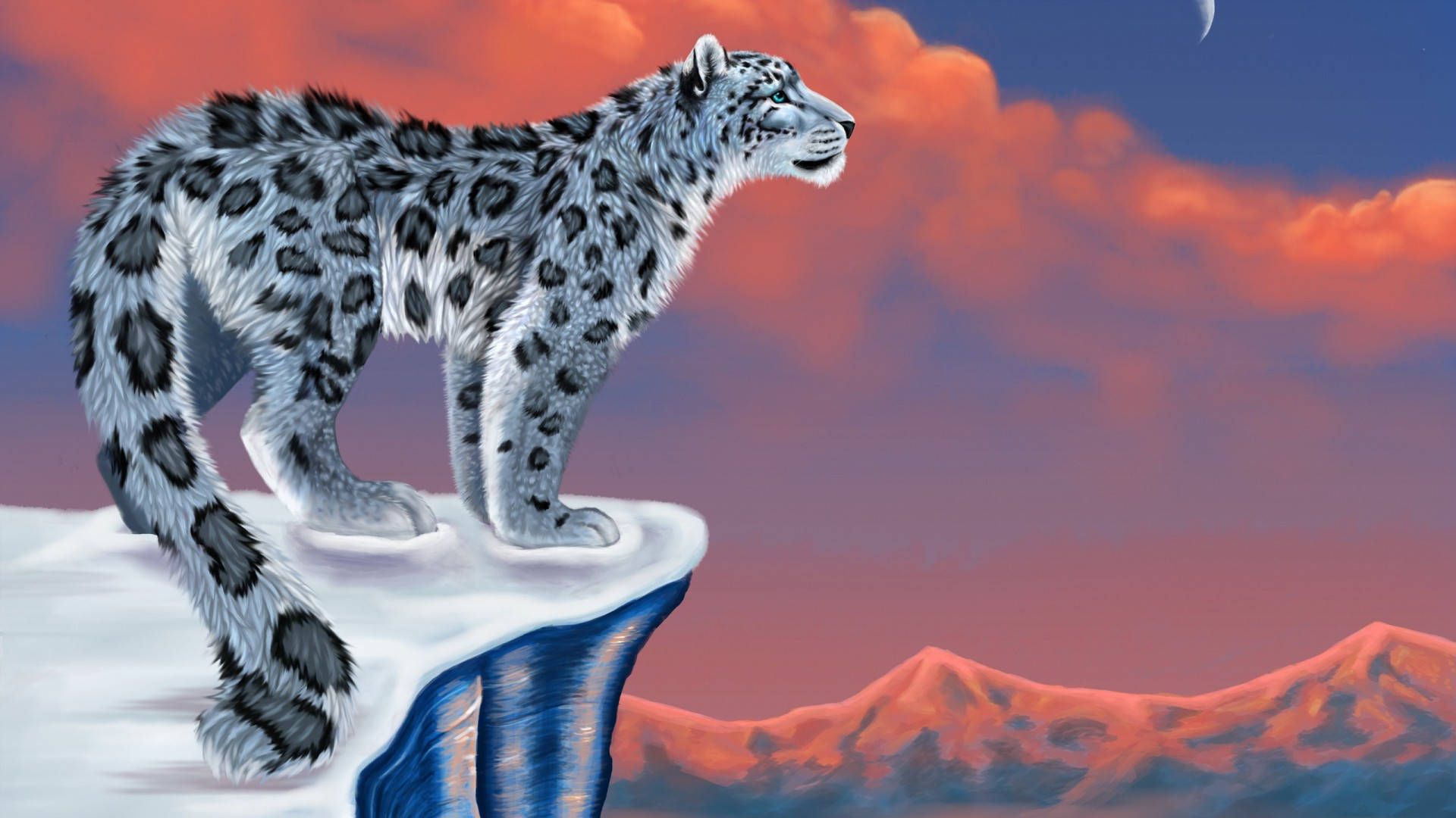 snow leopard, snowy mountain, snowy cliff edge, Full HD Desktop Wallpaper