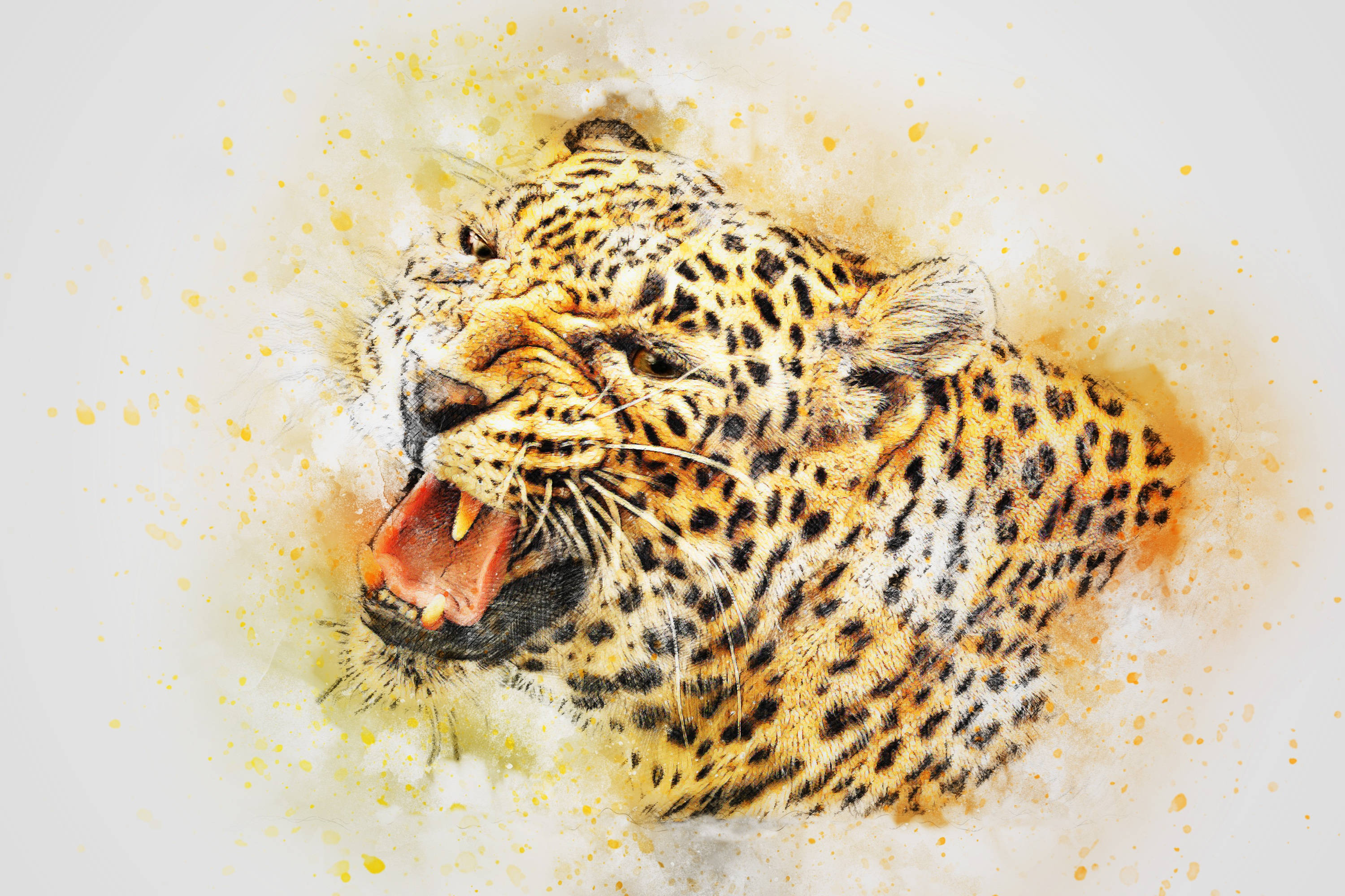 roaring leopard, golden spots, splattered yellow paint, 2K Desktop Wallpaper