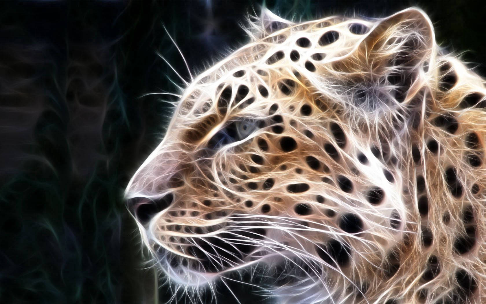 glowing leopard, electric white fur, dark spots, HD Desktop Wallpaper